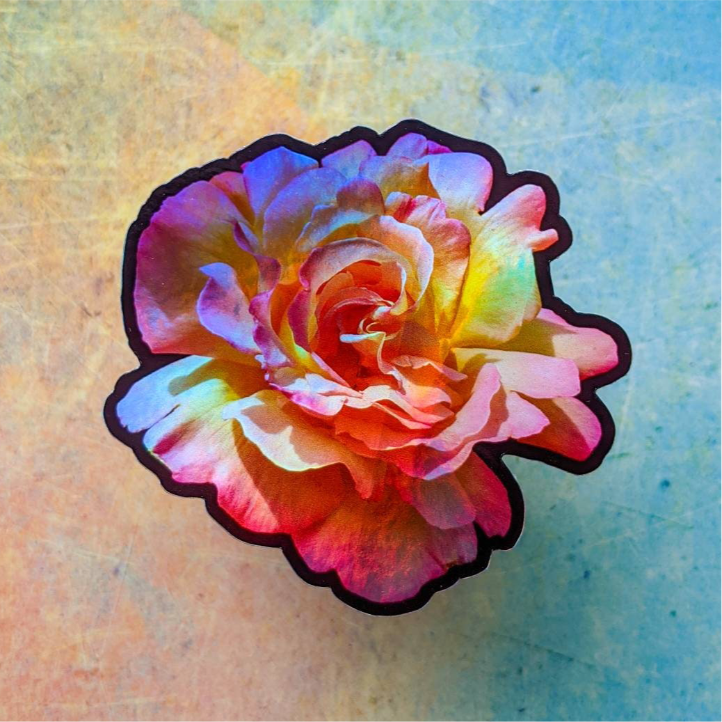 Holographic Rose, Die-Cut Photo Sticker - Rainbow Photo of a Peachy-Pink Rose, 3" x 3" Inch, Weatherproof Flower Sticker