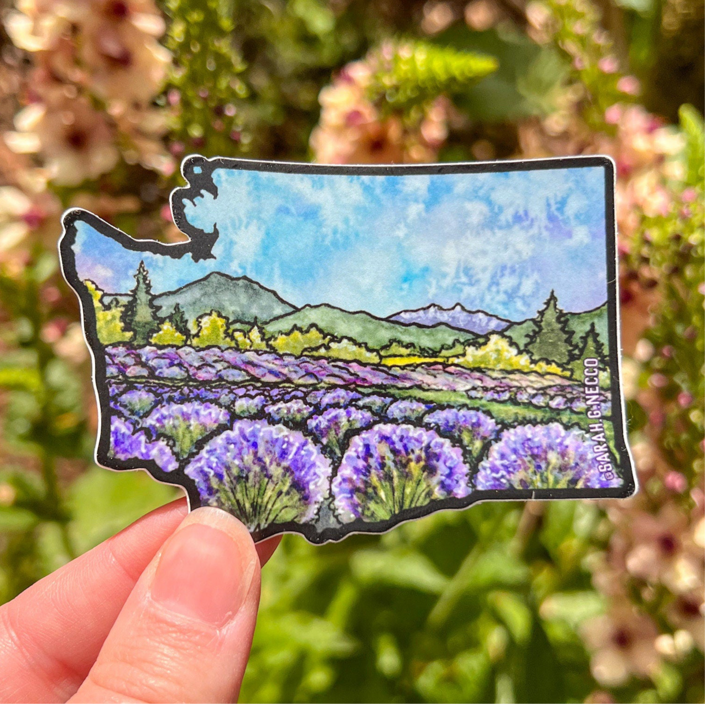 WA Lavender Fields, 3.5"x2.5" WA Die Cut Vinyl Sticker, Waterproof and Dishwasher Safe