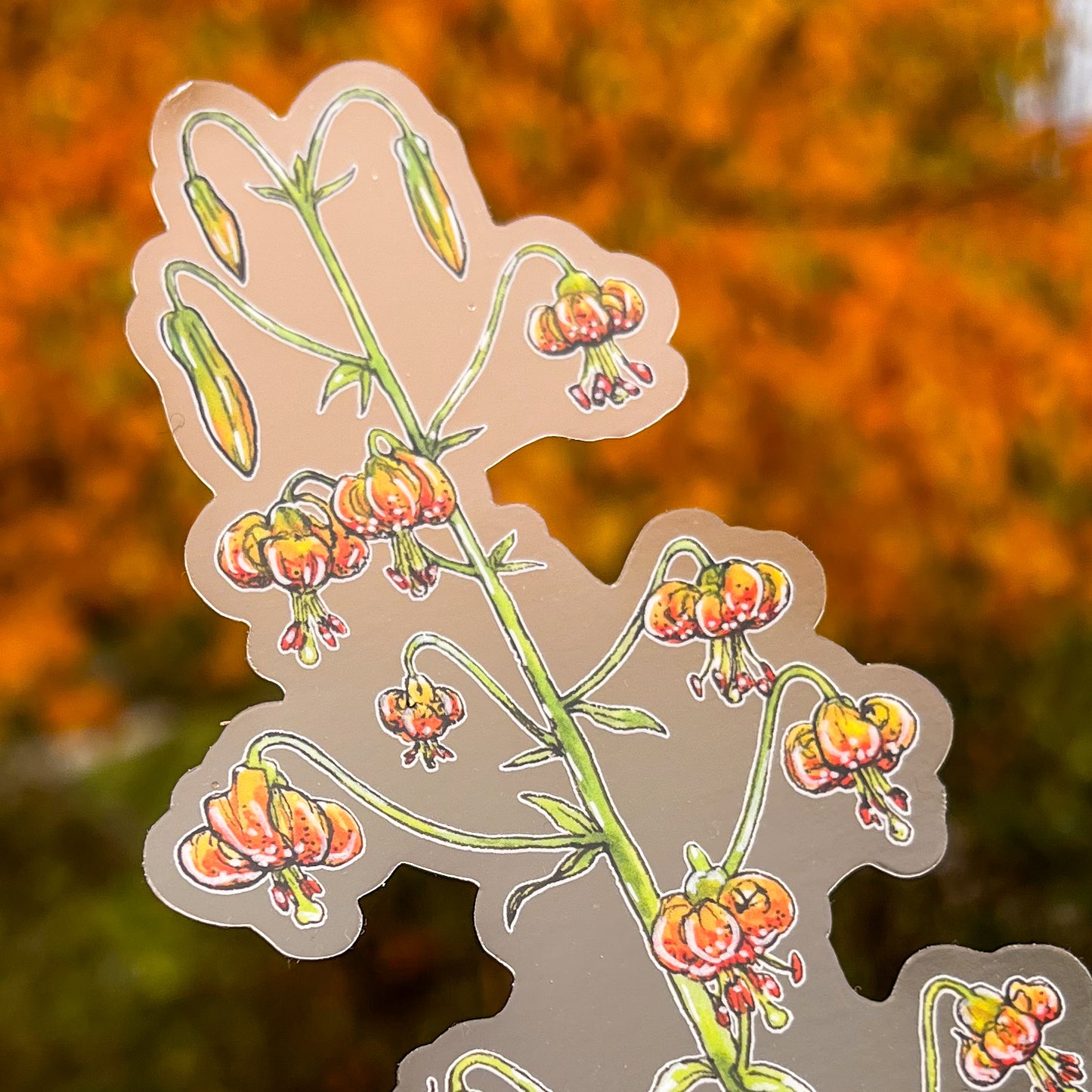 Wild Tiger Lily, Tallscape™ Flower Sticker, 2”x7" Clear Vinyl Die Cut Sticker