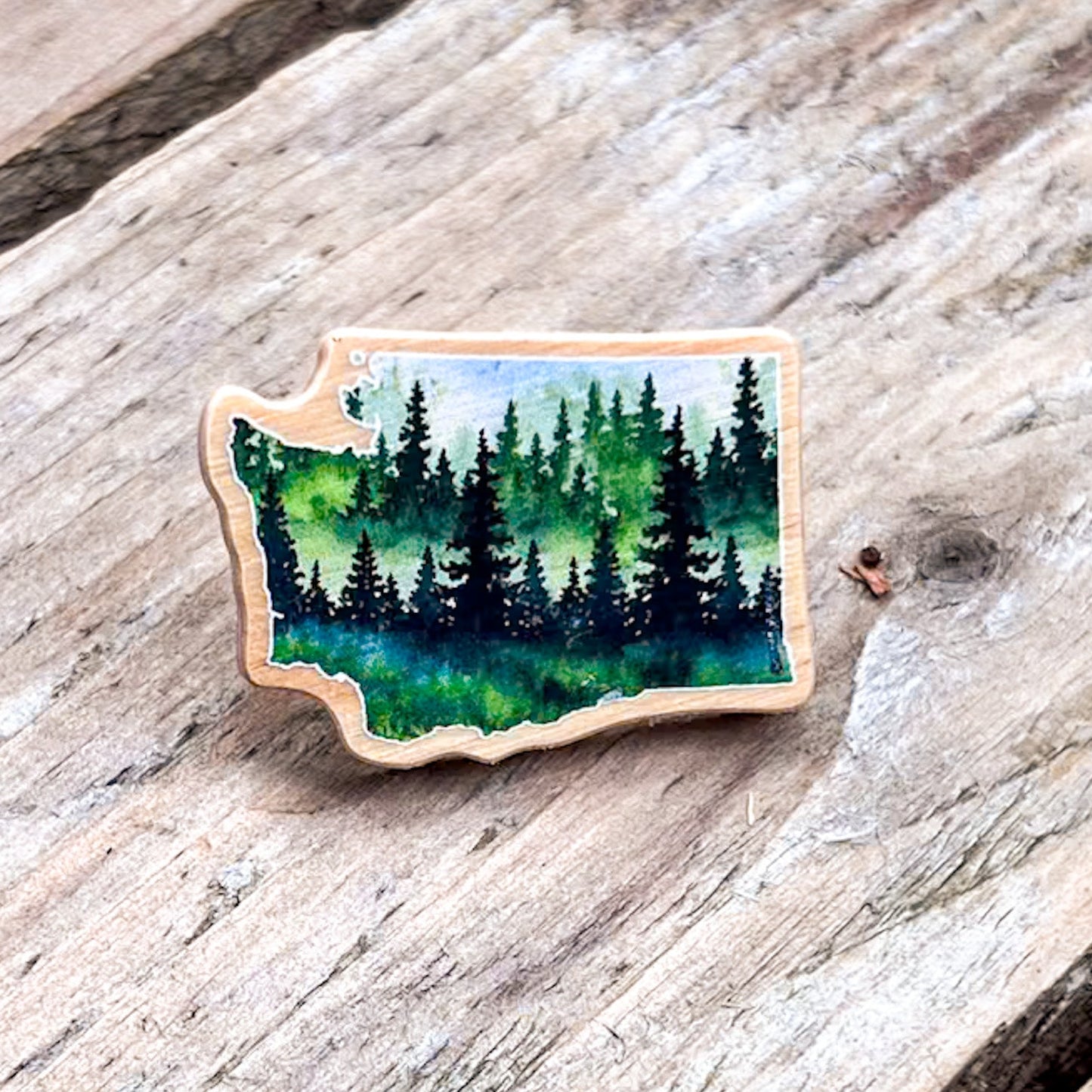 Evergreen State WA, Real Pine Wood 1.5” Pin with Rubber Clutch, Wearable Watercolor Art