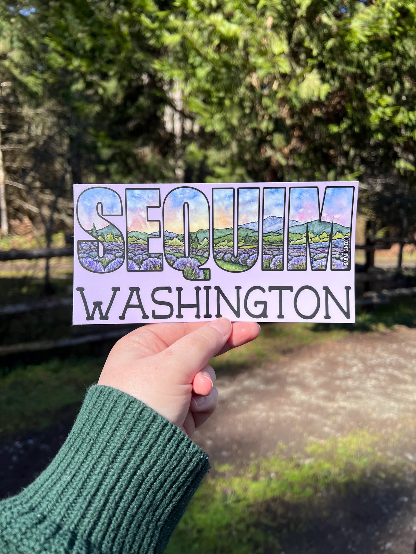 Sequim Washington Lavender, 3.75"x7.5" Vinyl Bumper Sticker, Weather Proof, Watercolor Art