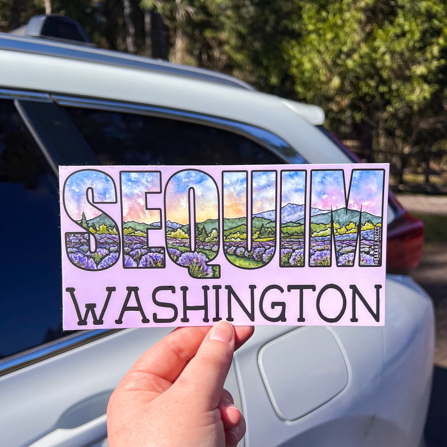 Sequim Washington Lavender, 3.75"x7.5" Vinyl Bumper Sticker, Weather Proof, Watercolor Art