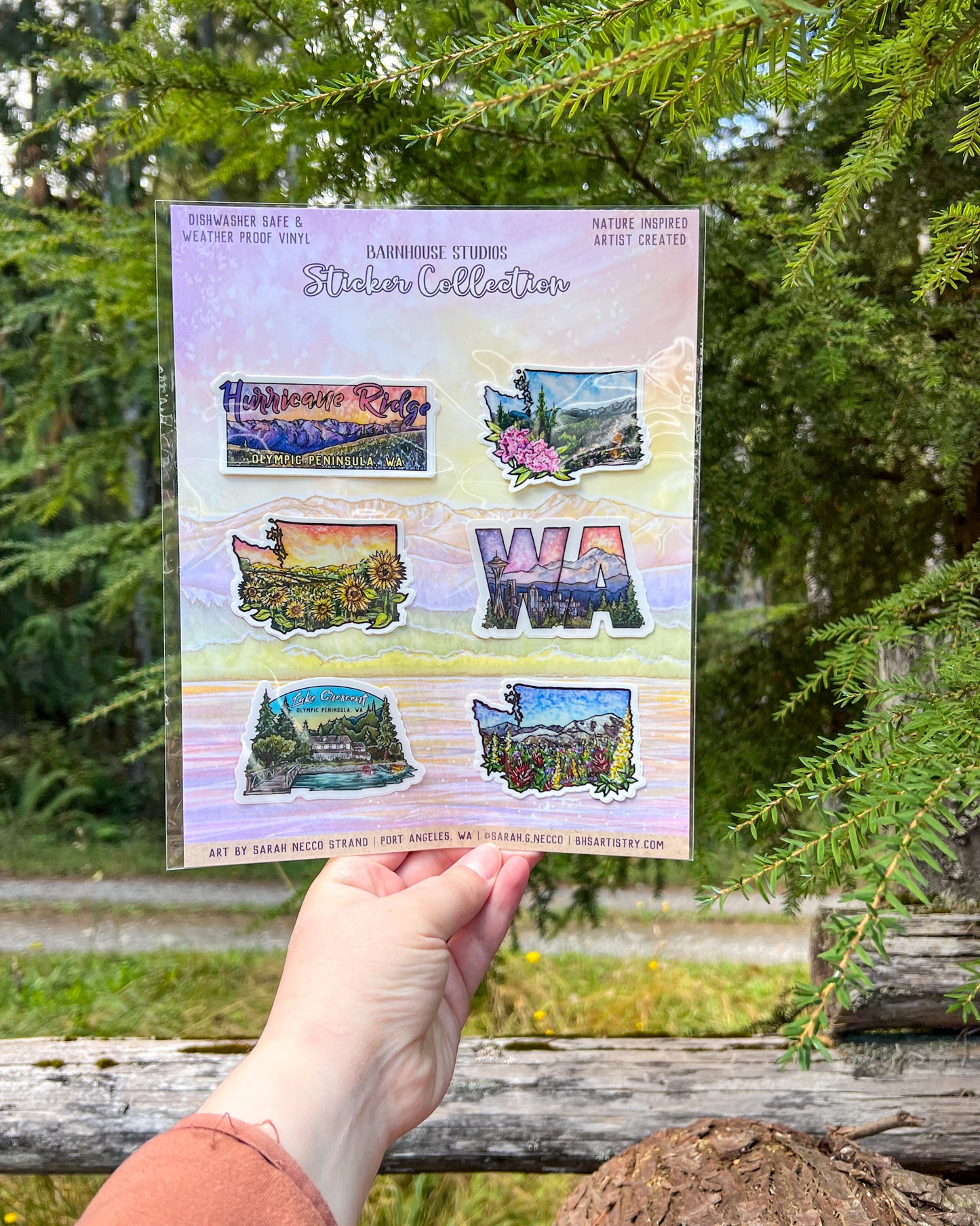 Upper Left Sticker Pack, Set of 6 WA State and Olympic Peninsula Sticker Gift Set, Vinyl Die-Cut and Waterproof
