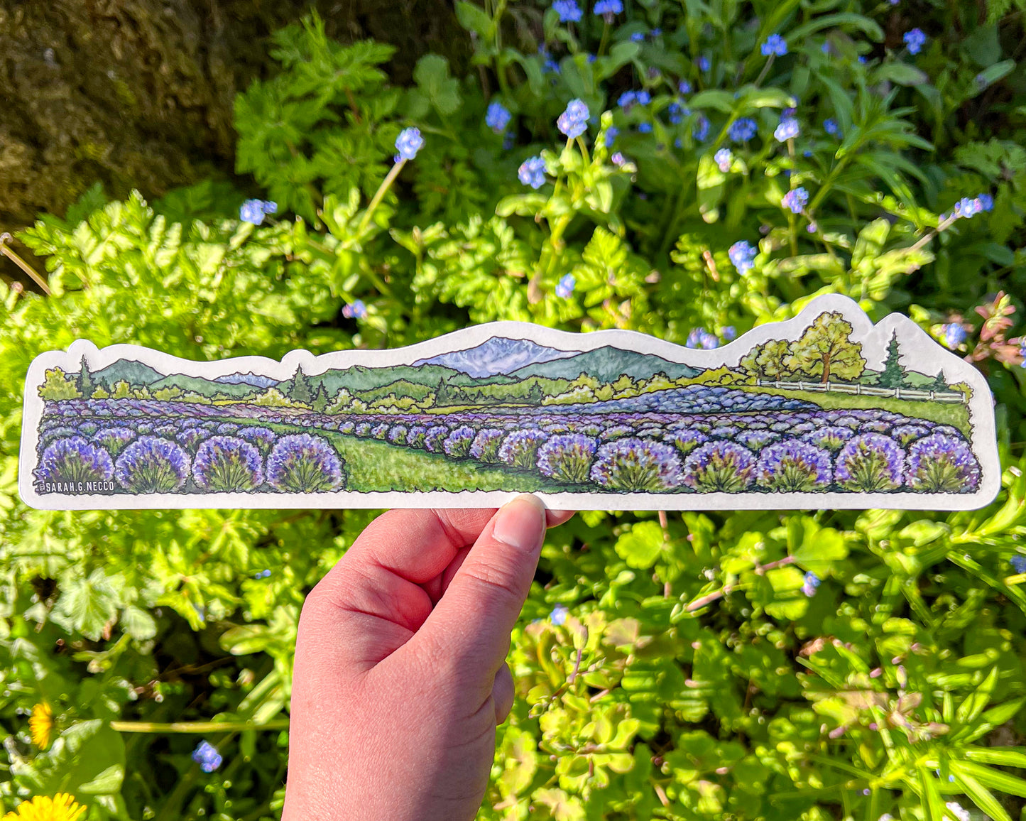 Lavender Fields Landscape Wrap Sticker, 2"x11" Clear Vinyl Die Cut Sticker, Waterproof and Dishwasher Safe