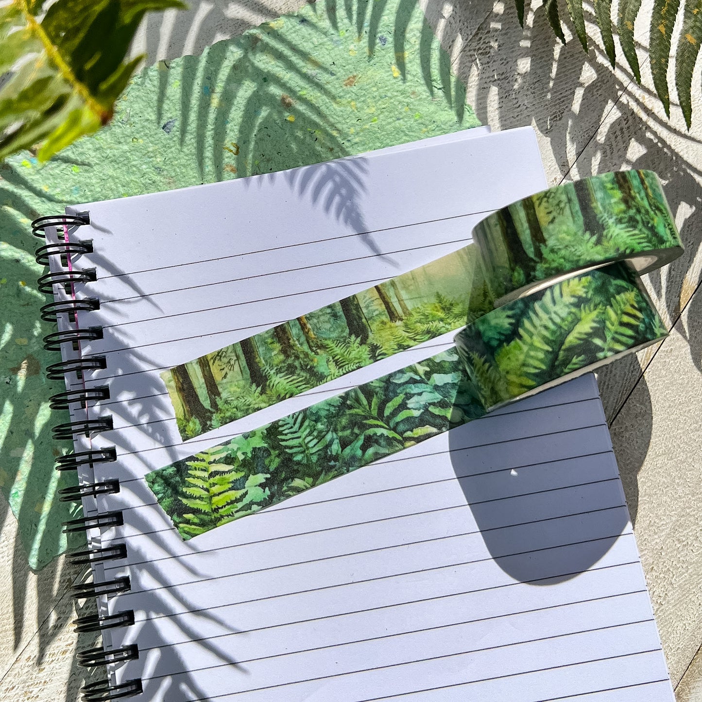 Evergreen Forest & Ferns Set, Premium Washi Tape Rolls Size 2cm Wide by 10m Long