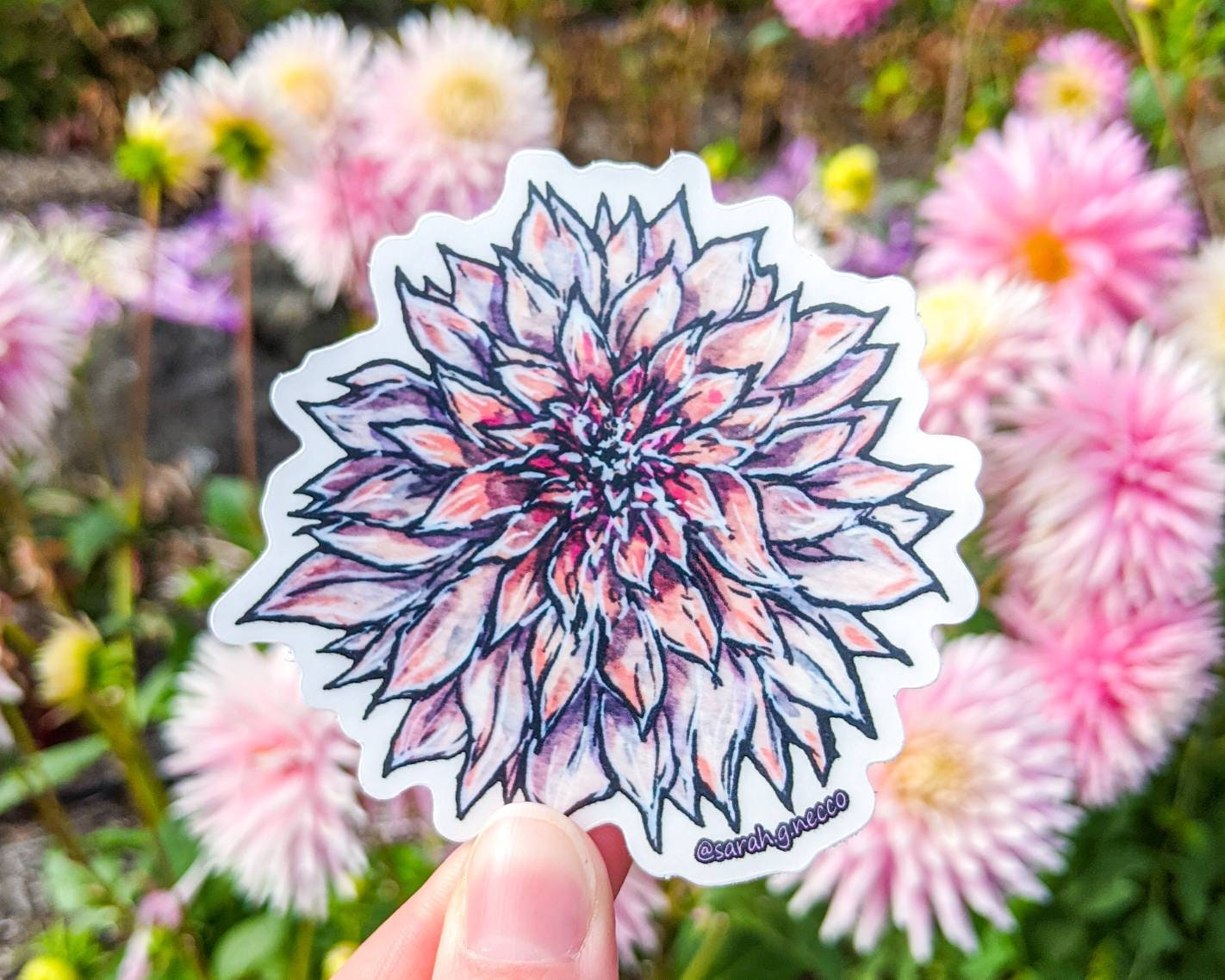 SALE! Set of 3 Dahlia Stickers, 3" Clear Die-Cut Vinyl Stickers, Waterproof & Dishwasher Safe, Watercolor Art