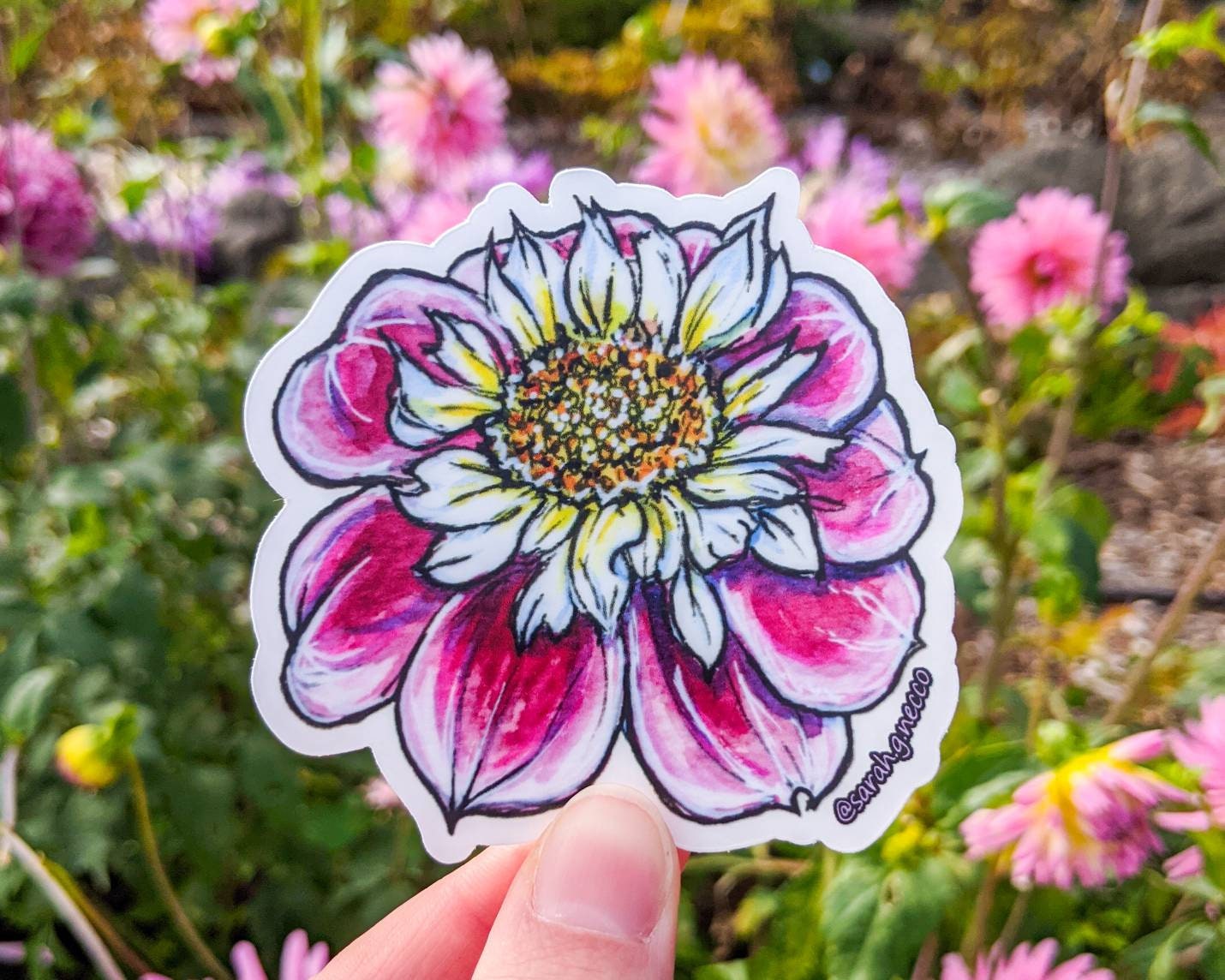 SALE! Set of 3 Dahlia Stickers, 3" Clear Die-Cut Vinyl Stickers, Waterproof & Dishwasher Safe, Watercolor Art