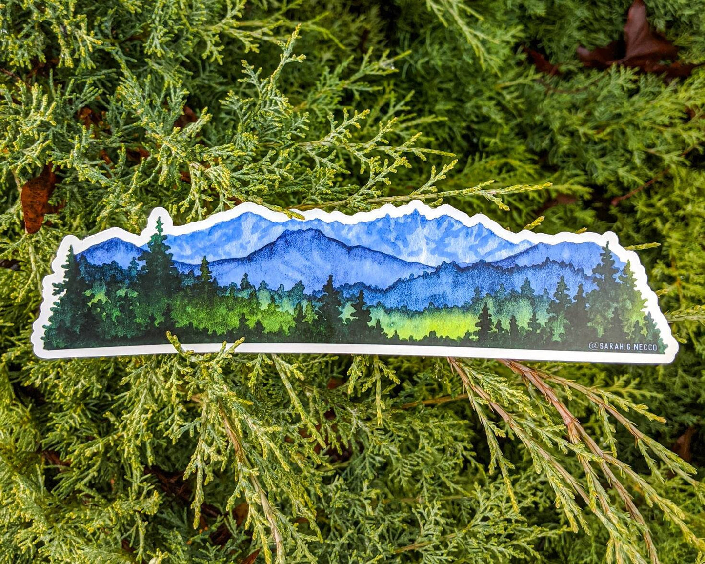 Northwest Landscape Wrap Sticker, 2"x8" Clear Vinyl Die Cut Sticker, Waterproof and Dishwasher Safe