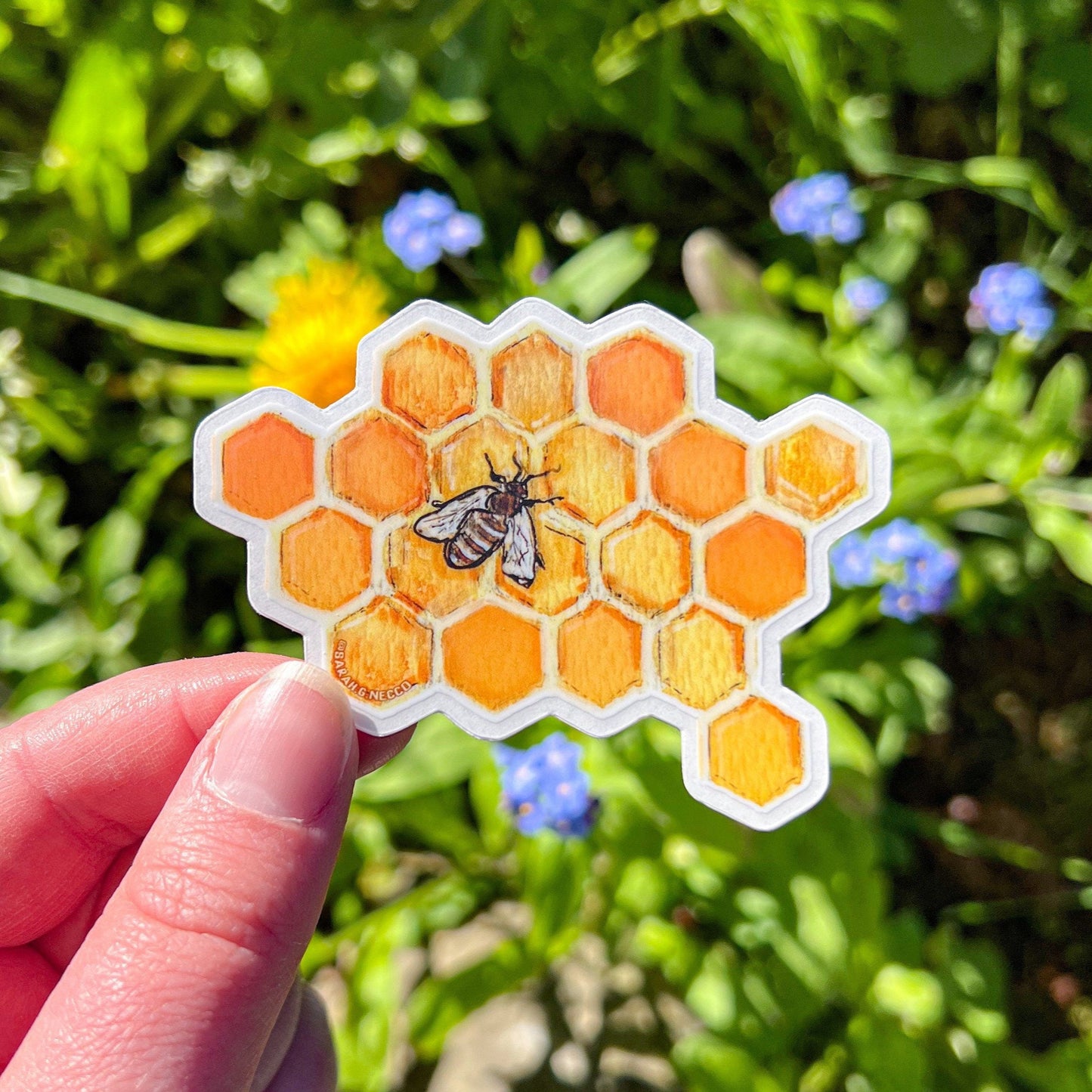 Bee & Honeycomb, Watercolor Art, 3"x2" inch Die-Cut Clear Vinyl Waterproof Sticker
