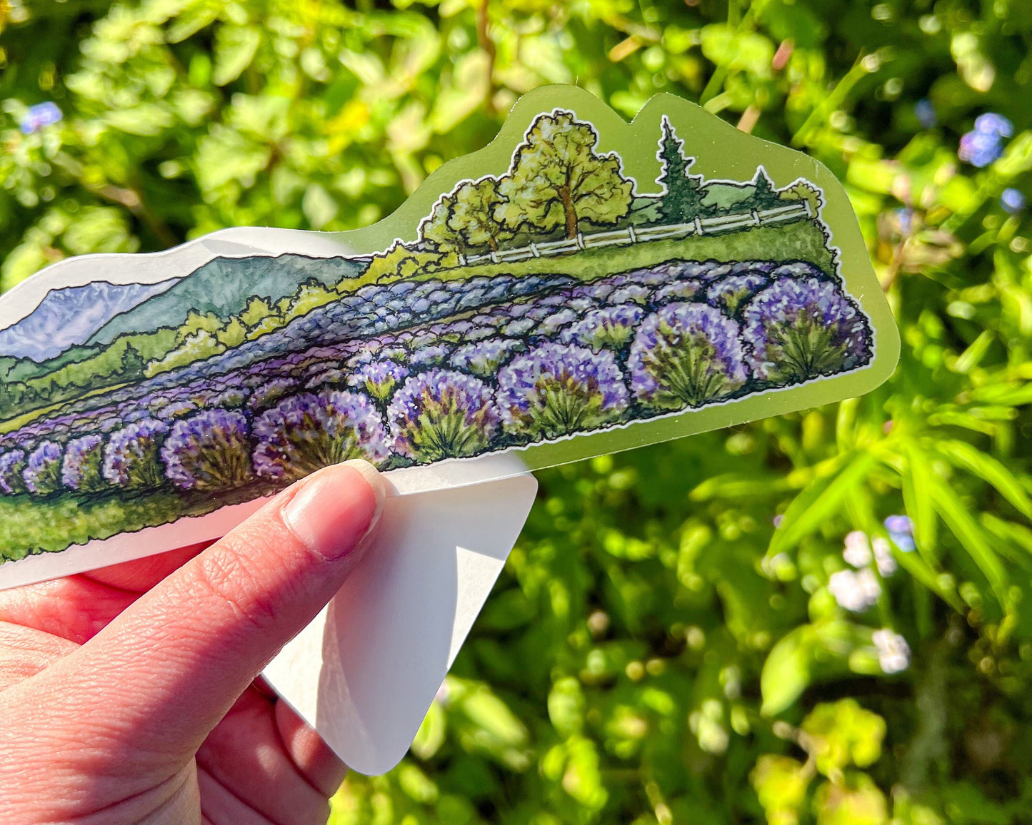 Lavender Fields Landscape Wrap Sticker, 2"x11" Clear Vinyl Die Cut Sticker, Waterproof and Dishwasher Safe