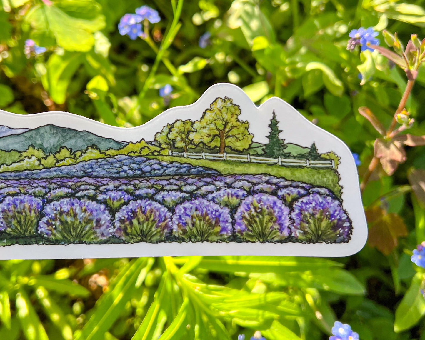 Lavender Fields Landscape Wrap Sticker, 2"x11" Clear Vinyl Die Cut Sticker, Waterproof and Dishwasher Safe
