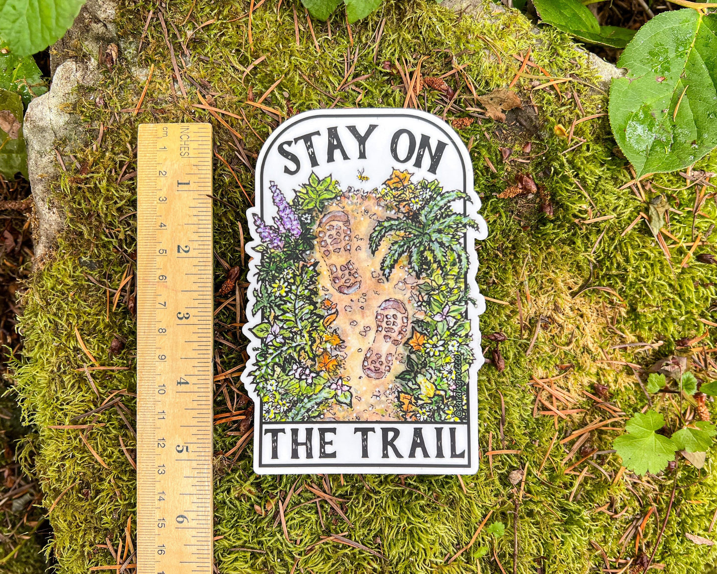 XL Stay On The Trail, Vinyl 5.5” Die-Cut Hiking Bumper Sticker