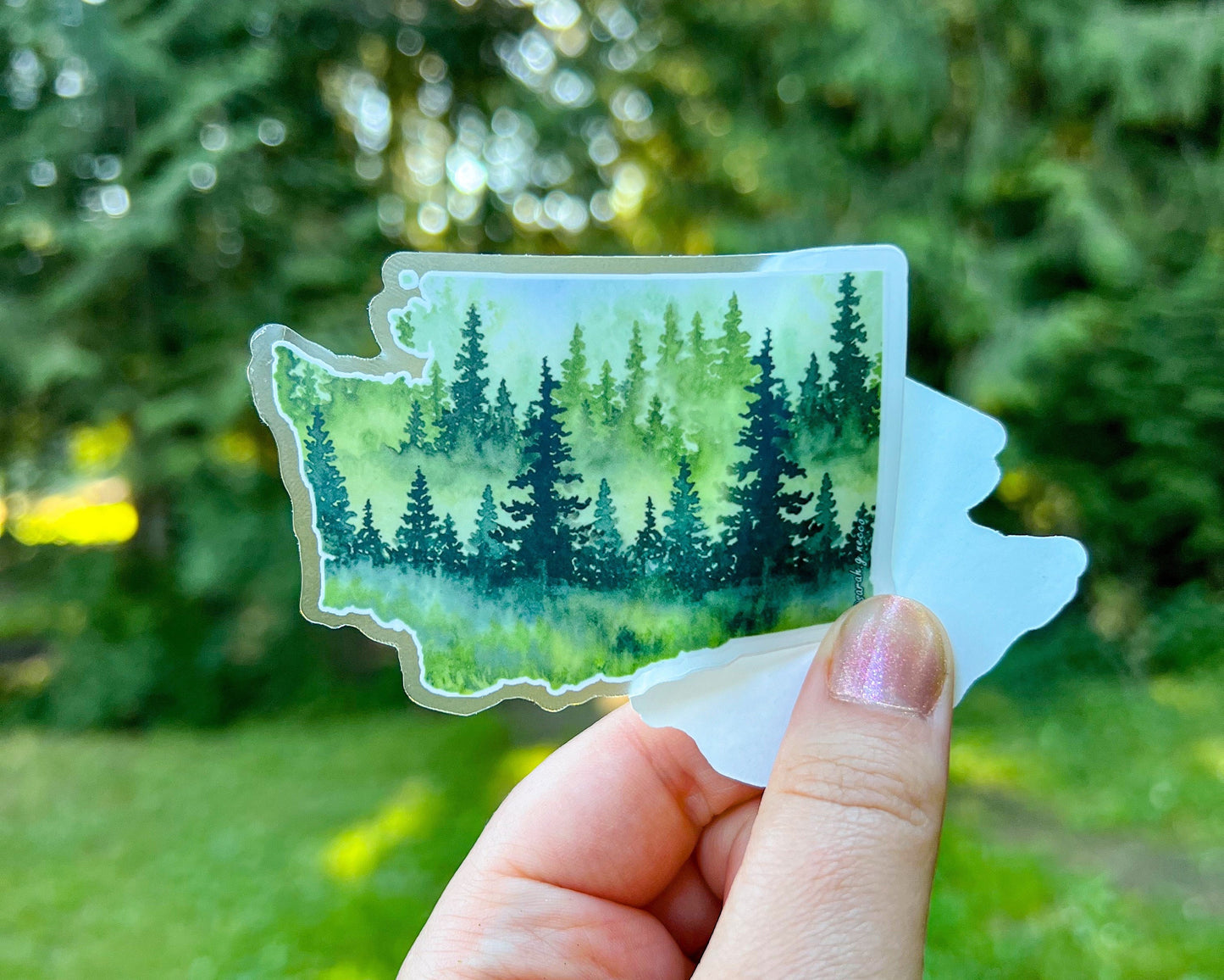 Evergreen State, 3.5"x2.5" WA Die Cut Vinyl Sticker, Waterproof and Dishwasher Safe, Washington State Evergreen Trees