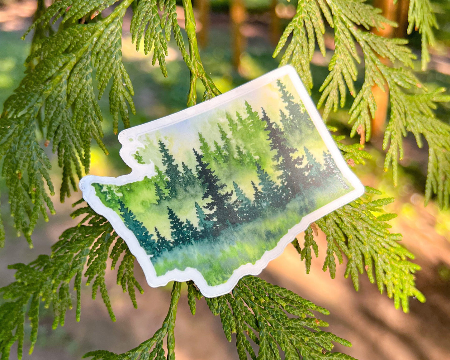 Evergreen State, 3.5"x2.5" WA Die Cut Vinyl Sticker, Waterproof and Dishwasher Safe, Washington State Evergreen Trees