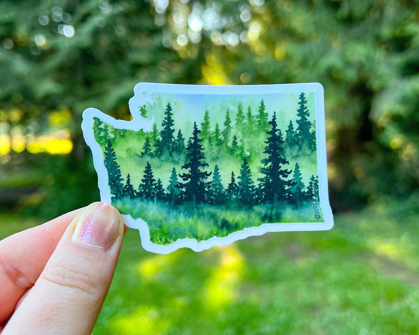 Evergreen State, 3.5"x2.5" WA Die Cut Vinyl Sticker, Waterproof and Dishwasher Safe, Washington State Evergreen Trees
