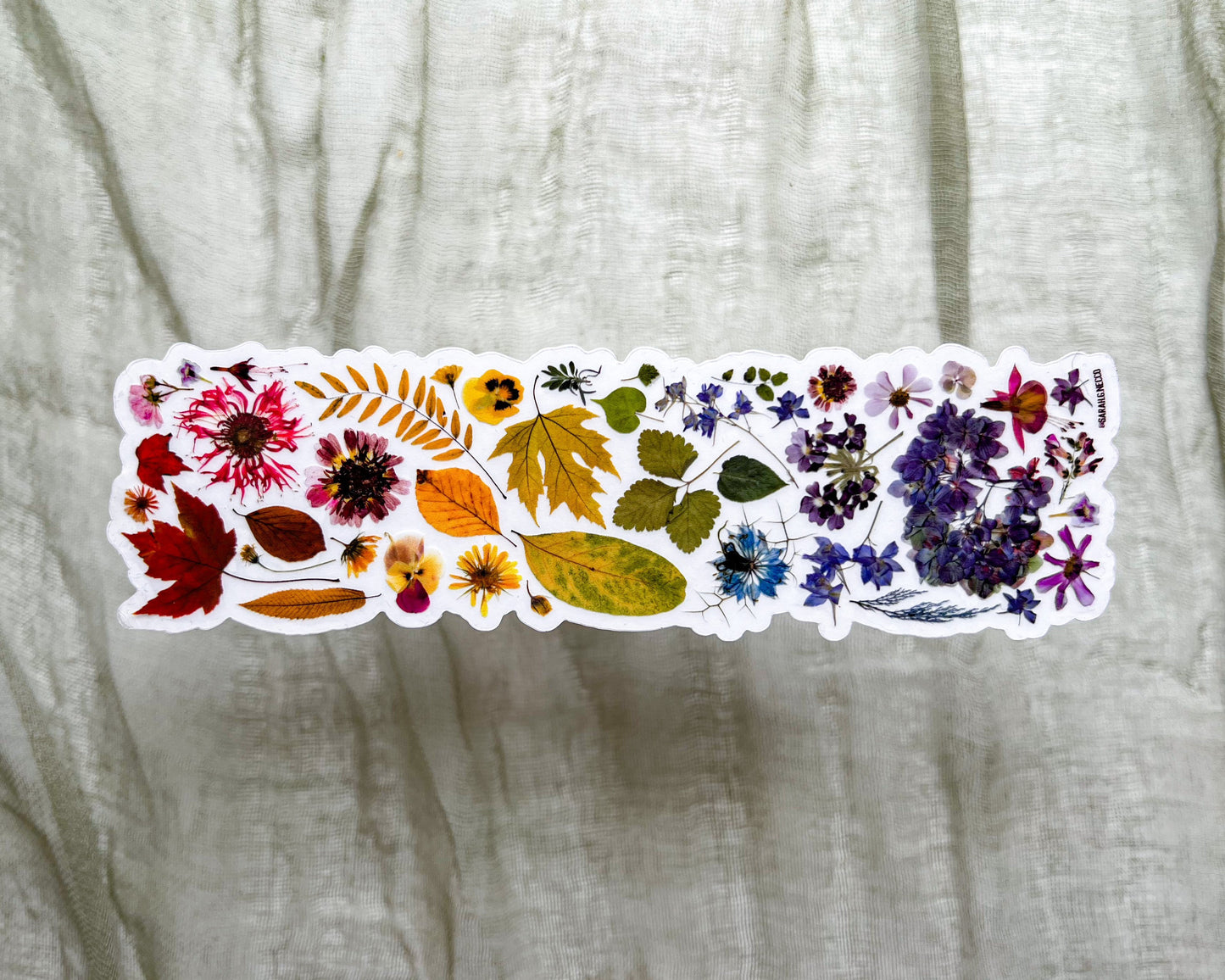 Rainbow Pressed Flowers and Botanicals Wrap Sticker, Clear Vinyl Die Cut Sticker
