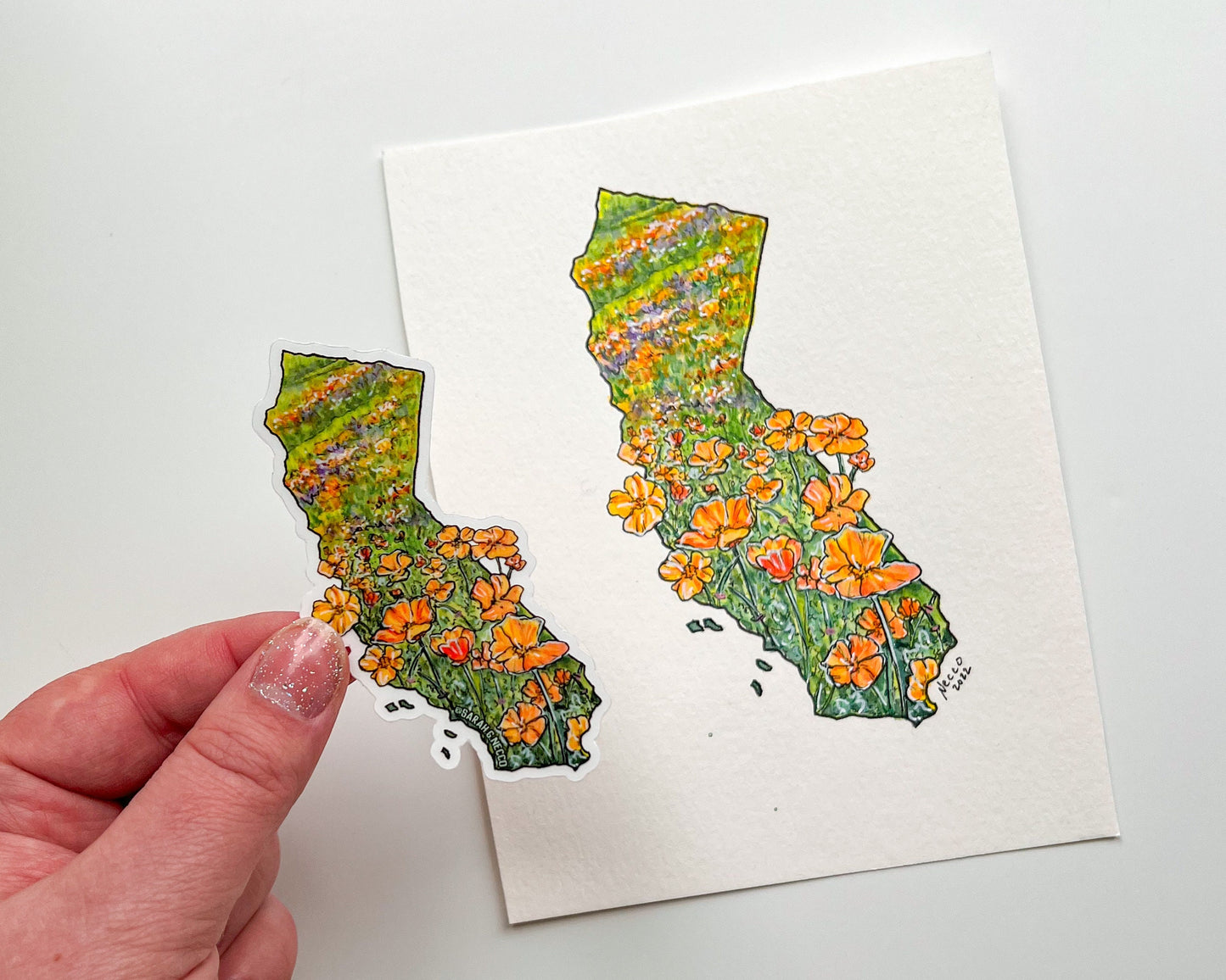 California State Flower Poppy Superbloom, 3" Clear Vinyl Die-Cut Sticker, Waterproof and Dishwasher Safe, CA State Shape Landscape Painting