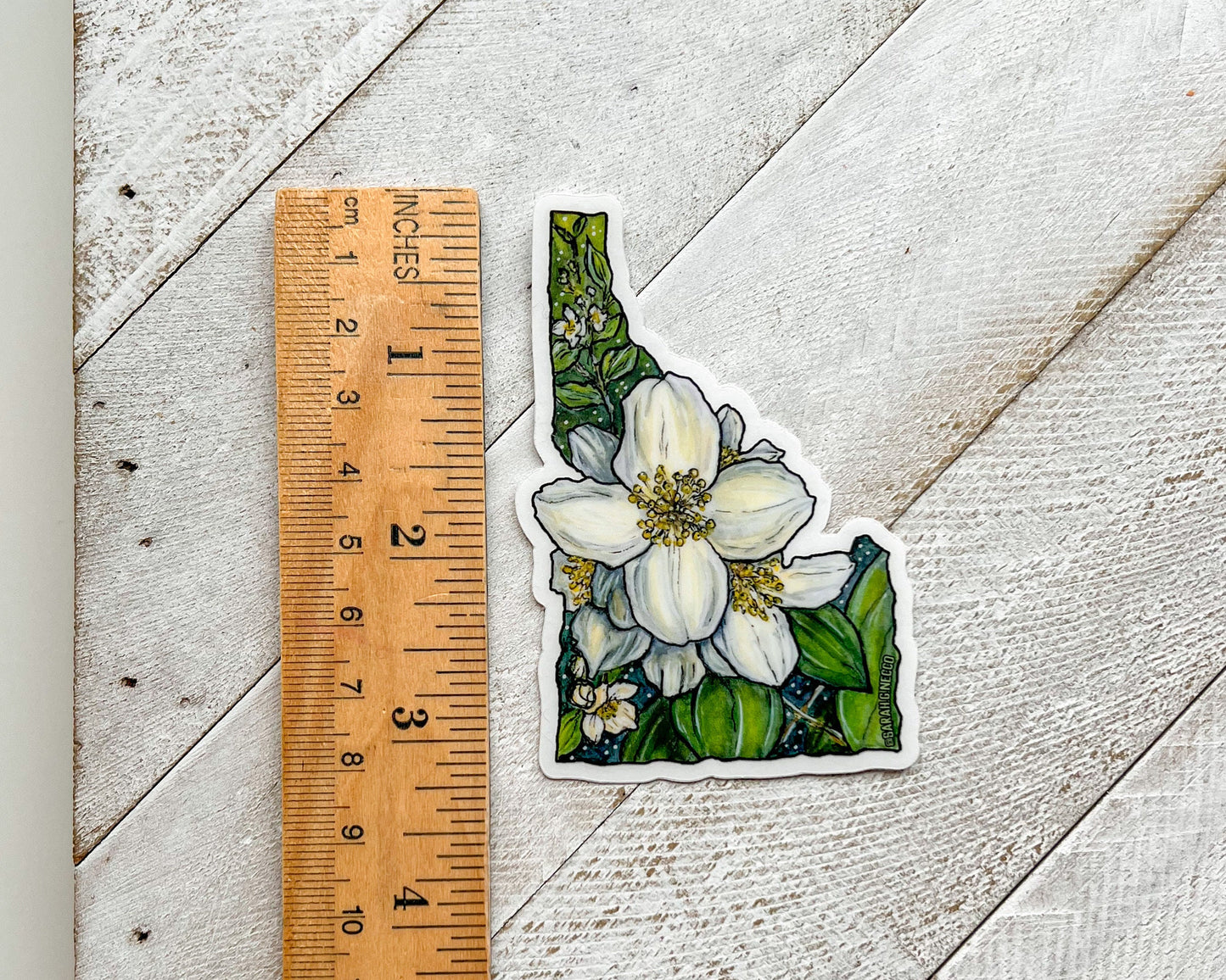Idaho State Flower, White Syringa, 3" Clear Vinyl Die-Cut Sticker