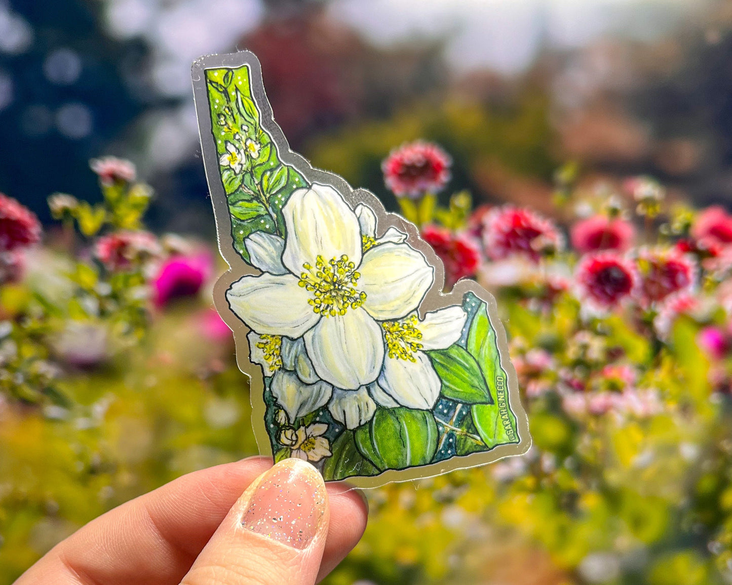 Idaho State Flower, White Syringa, 3" Clear Vinyl Die-Cut Sticker
