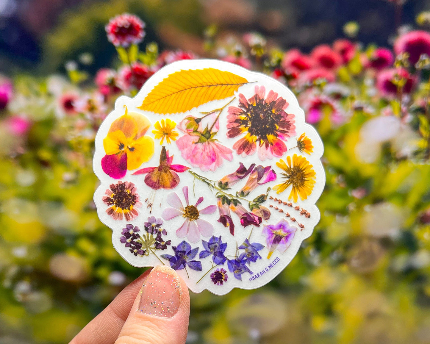 Pressed Flower Circle, 3” Clear Vinyl Sticker