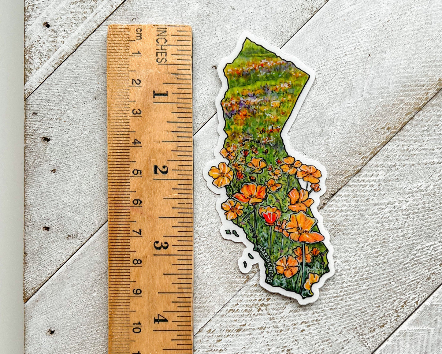 California State Flower Poppy Superbloom, 3" Clear Vinyl Die-Cut Sticker, Waterproof and Dishwasher Safe, CA State Shape Landscape Painting