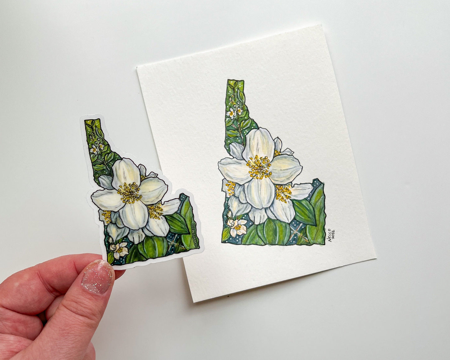 Idaho State Flower, White Syringa, 3" Clear Vinyl Die-Cut Sticker