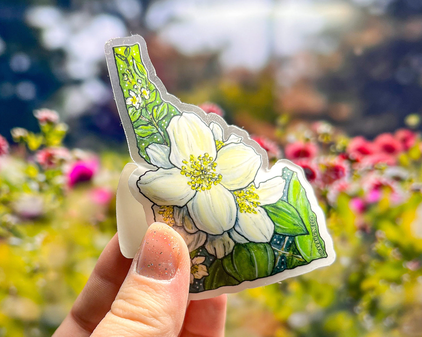 Idaho State Flower, White Syringa, 3" Clear Vinyl Die-Cut Sticker