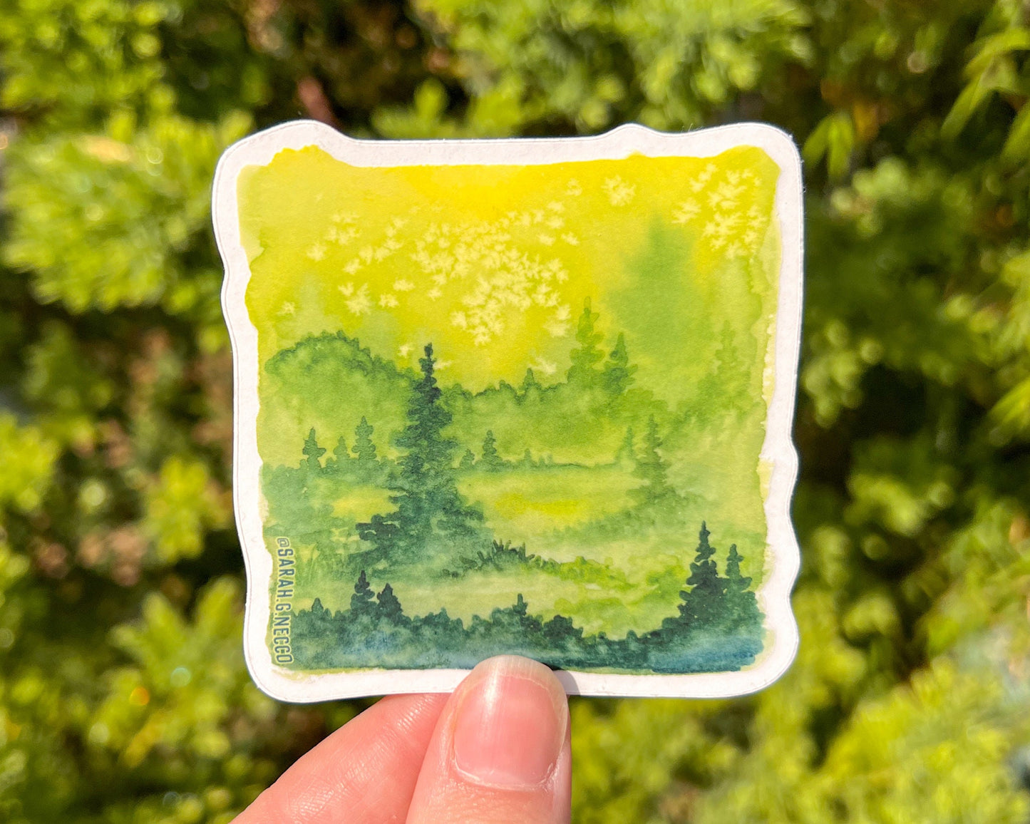 Evergreen Watercolor Painting Square, Clear Vinyl 3” Die-cut Sticker, Waterproof & Dishwasher Safe