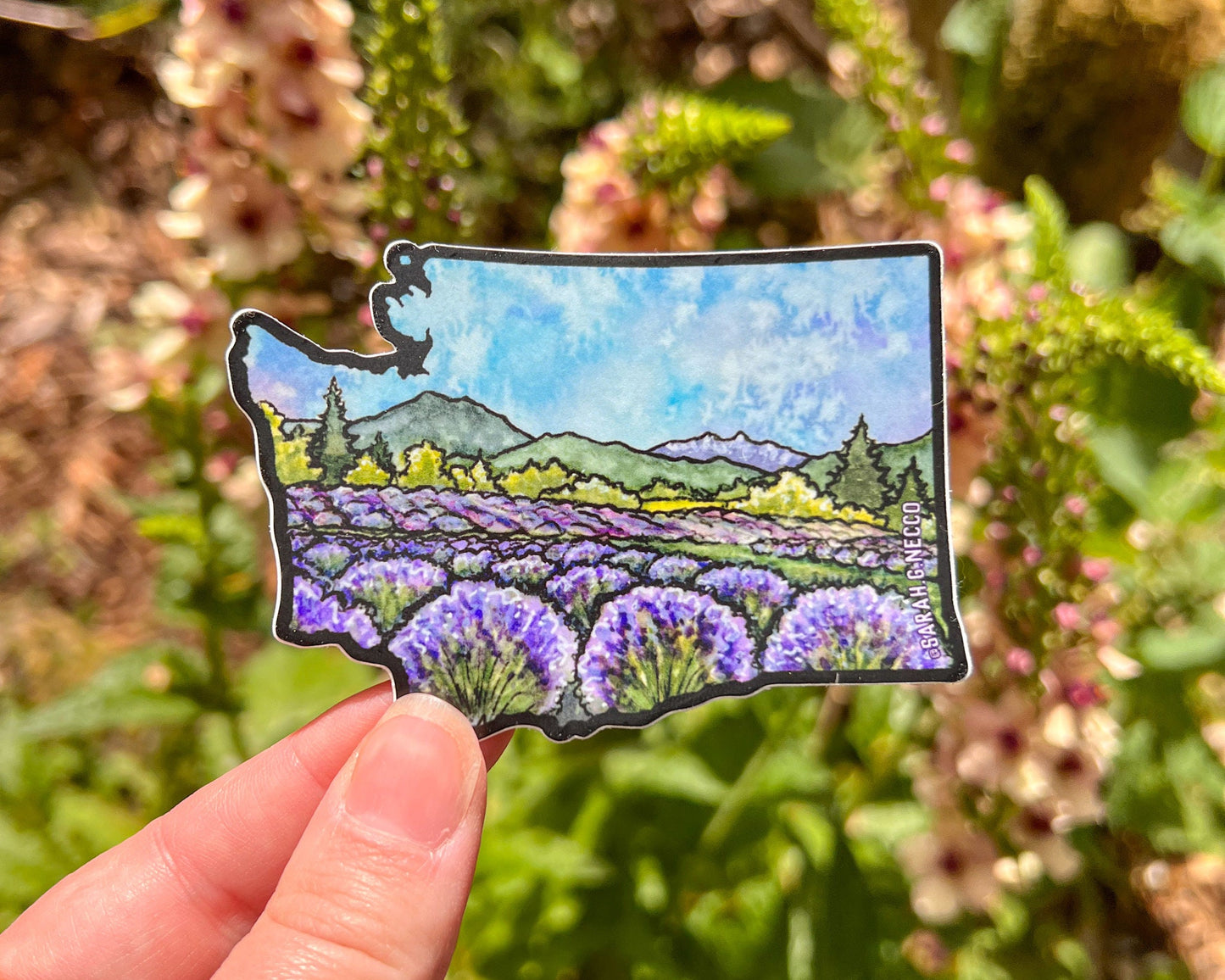 WA Lavender Fields, 3.5"x2.5" WA Die Cut Vinyl Sticker, Waterproof and Dishwasher Safe