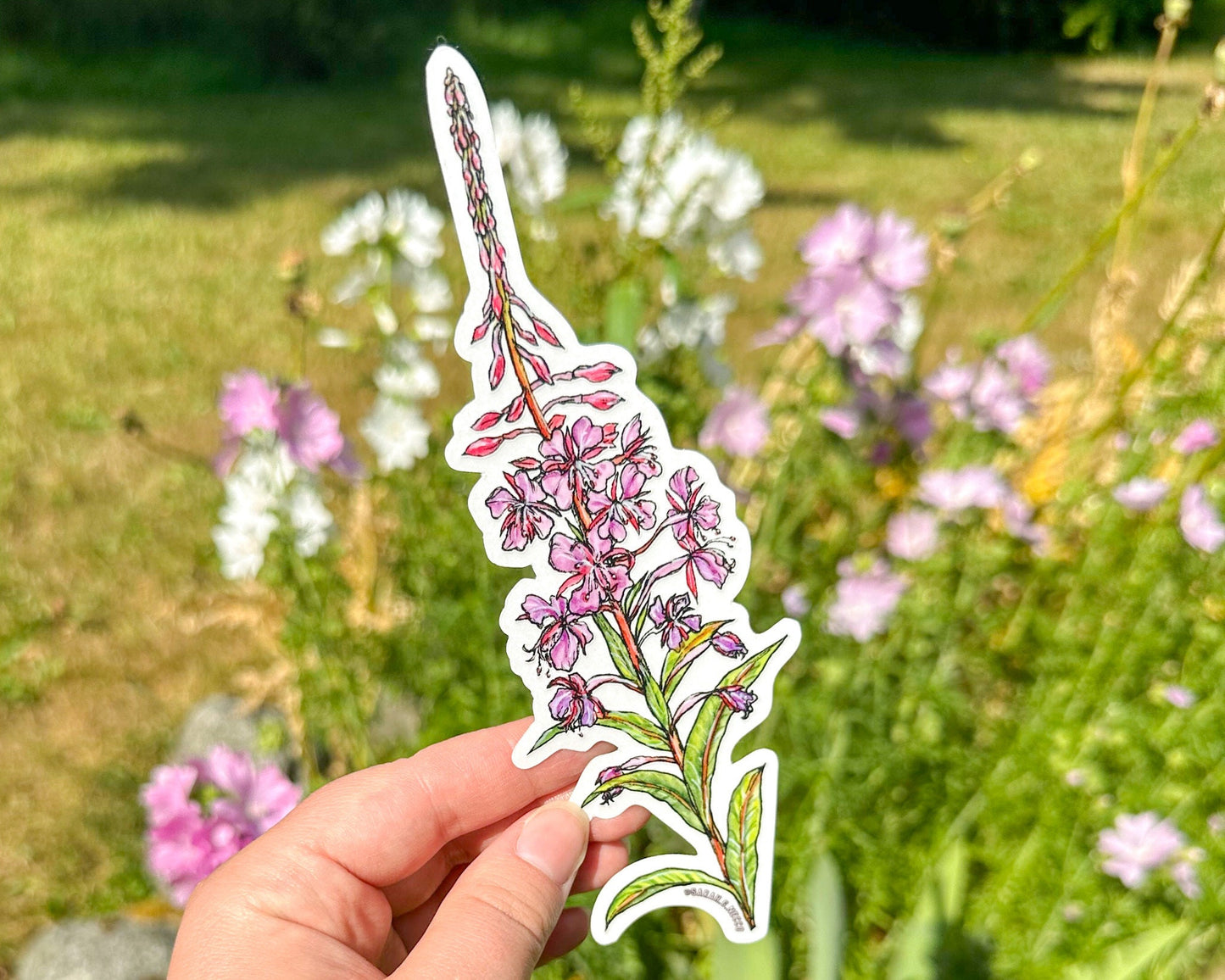 Fireweed Flower Tallscape™ Sticker, 1.5”x7" Clear Vinyl Die Cut Sticker