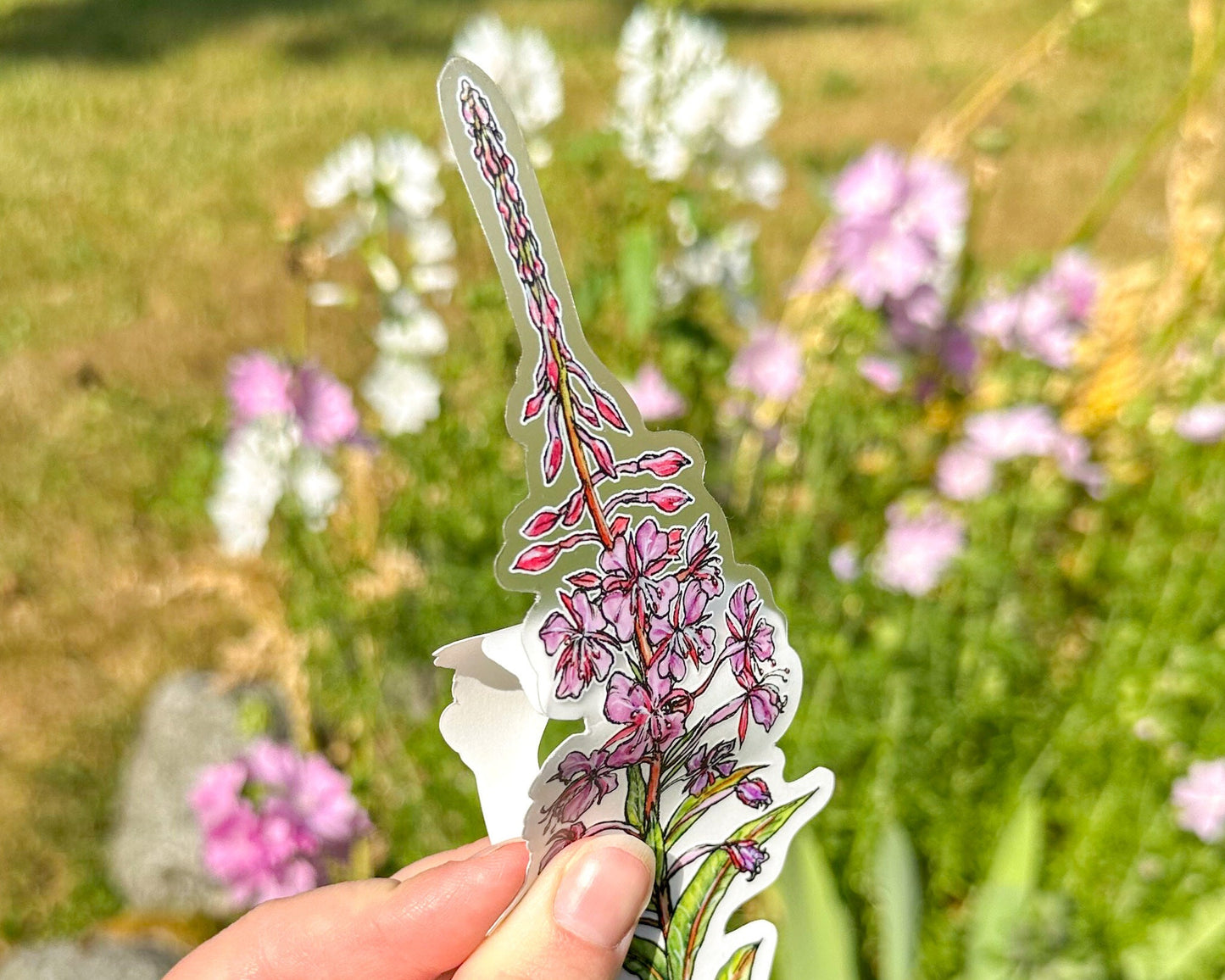 Fireweed Flower Tallscape™ Sticker, 1.5”x7" Clear Vinyl Die Cut Sticker
