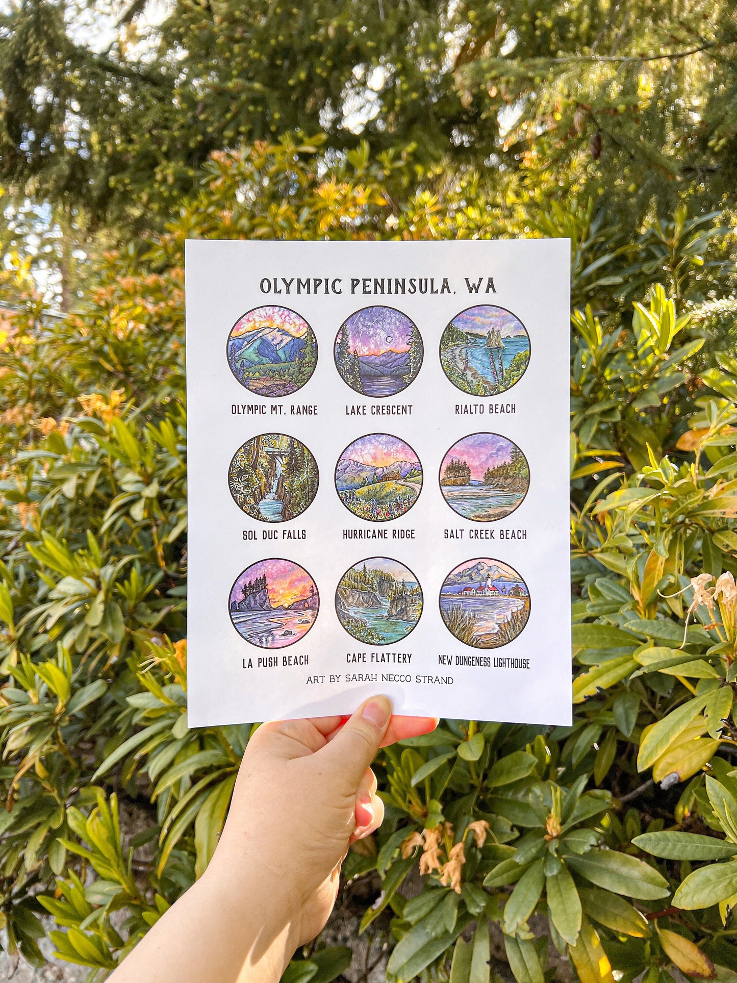 Places on the Olympic Peninsula Poster! Watercolor Art of Olympic National Park, 8”x10” High Quality Print