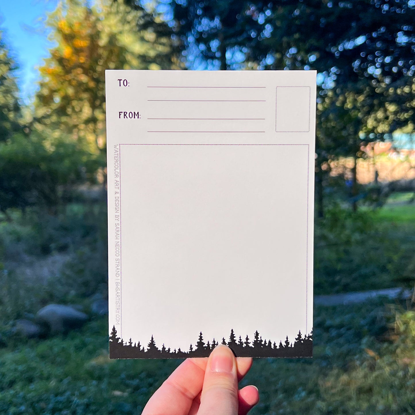 Northwest Washington Themed Postcards, Large 5”x7”Matte Postcard