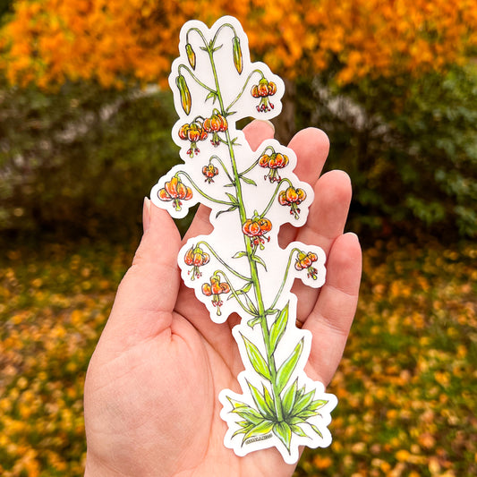 Wild Tiger Lily, Tallscape™ Flower Sticker, 2”x7" Clear Vinyl Die Cut Sticker
