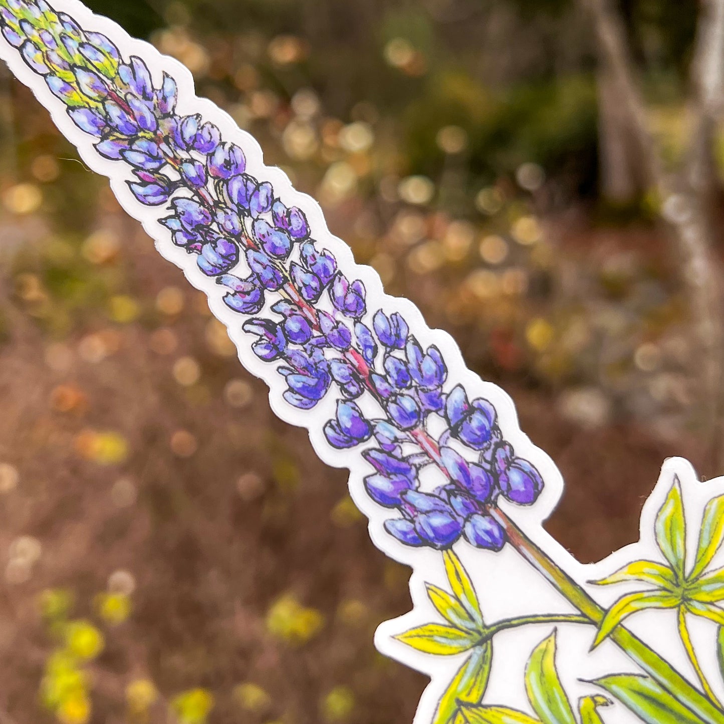 Wild Purple Lupine, Tallscape™ Flower Sticker, 3”x6.5" Clear Vinyl Die Cut Sticker