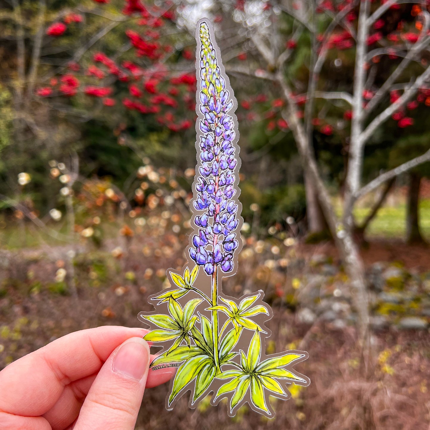 Wild Purple Lupine, Tallscape™ Flower Sticker, 3”x6.5" Clear Vinyl Die Cut Sticker