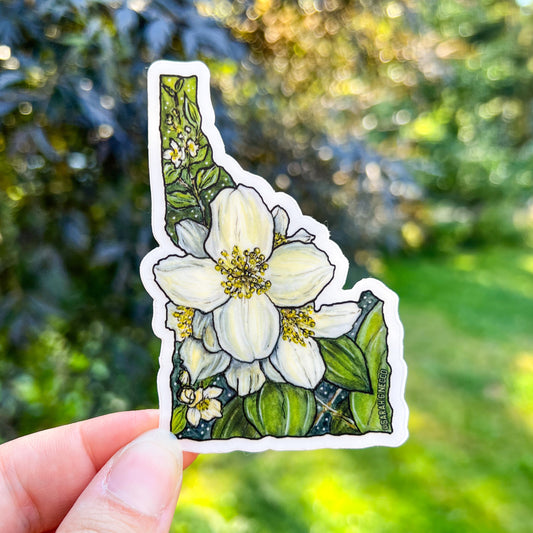 Idaho State Flower, White Syringa, 3" Clear Vinyl Die-Cut Sticker