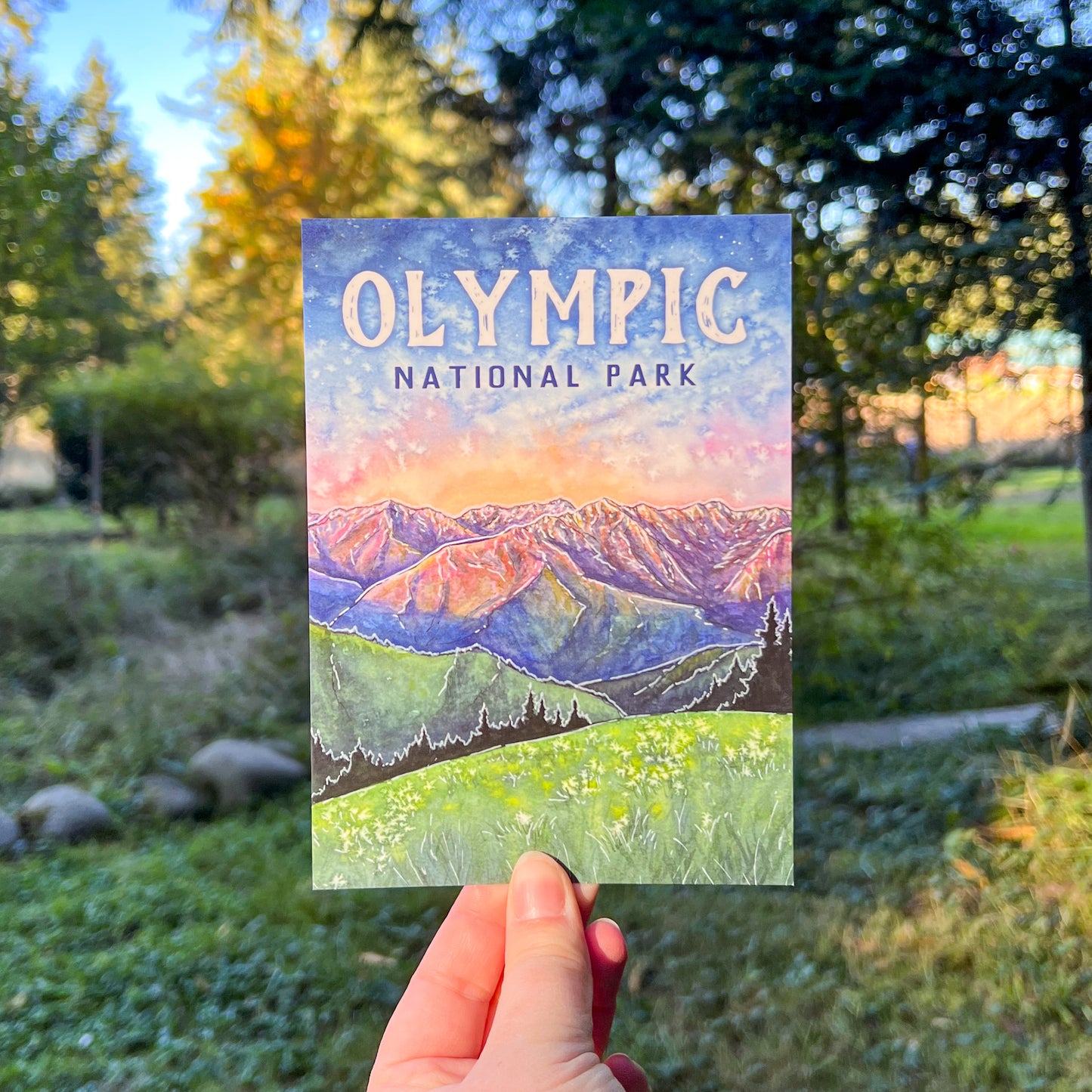 Northwest Washington Themed Postcards, Large 5”x7”Matte Postcard