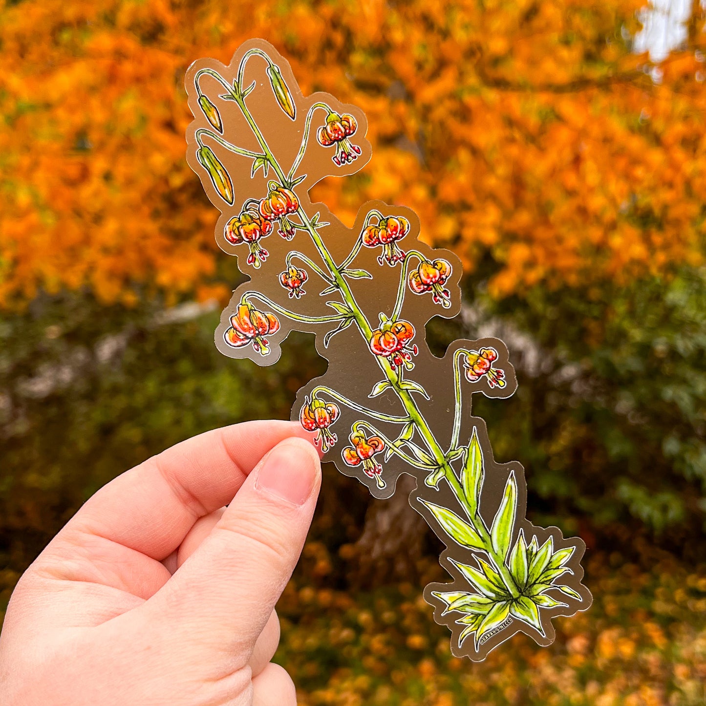 Wild Tiger Lily, Tallscape™ Flower Sticker, 2”x7" Clear Vinyl Die Cut Sticker