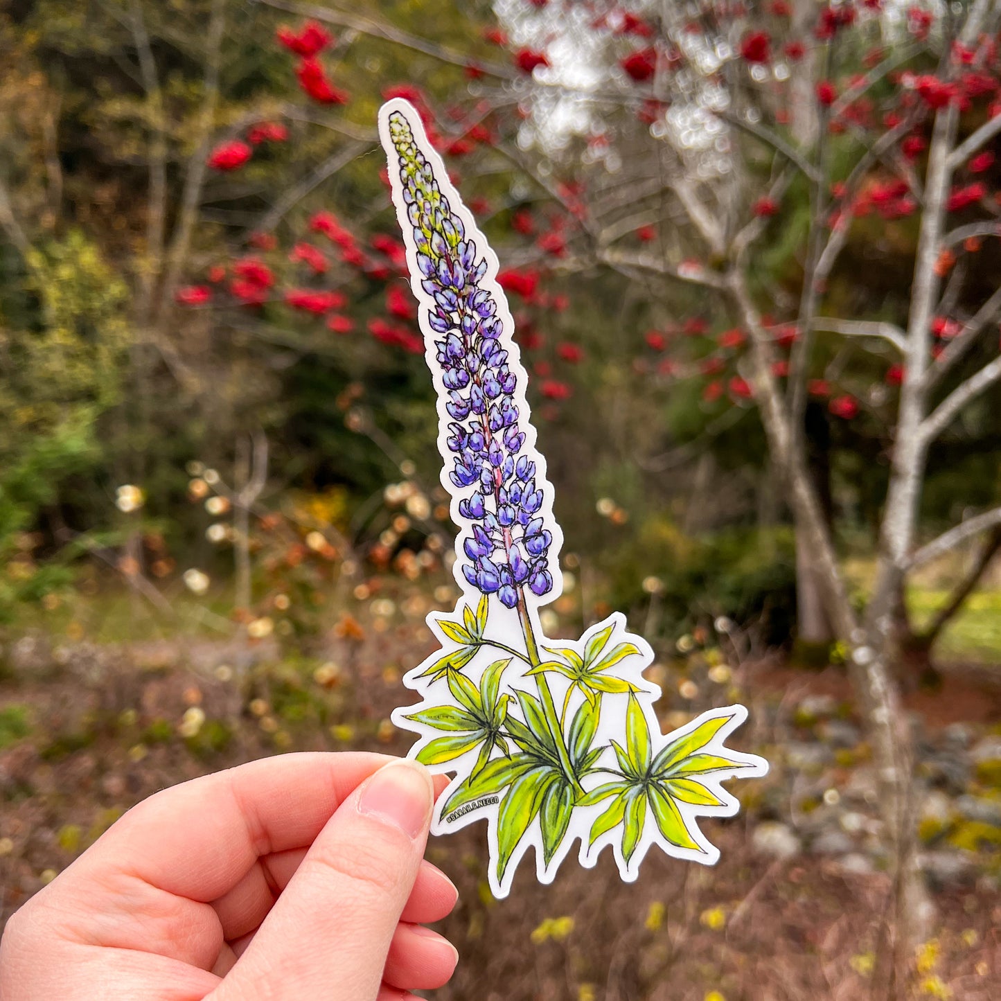 Wild Purple Lupine, Tallscape™ Flower Sticker, 3”x6.5" Clear Vinyl Die Cut Sticker