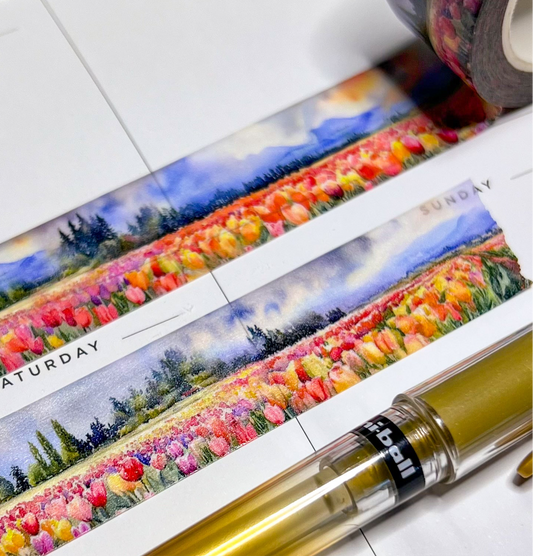 Spring Morning in the Tulips Fields Landscape Washi Tape, Size 2.5cm Wide by 10m Long