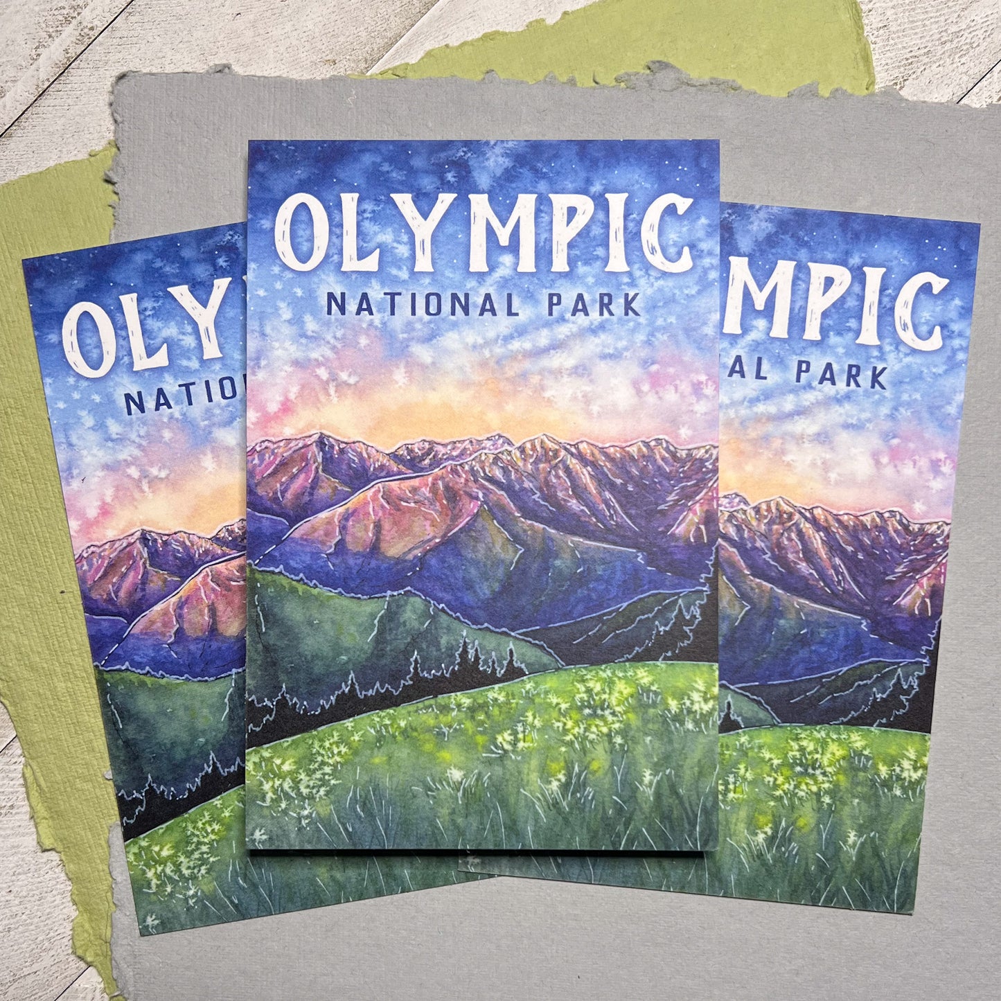 Olympic National Park Washington, 4"x6" Matte Postcard