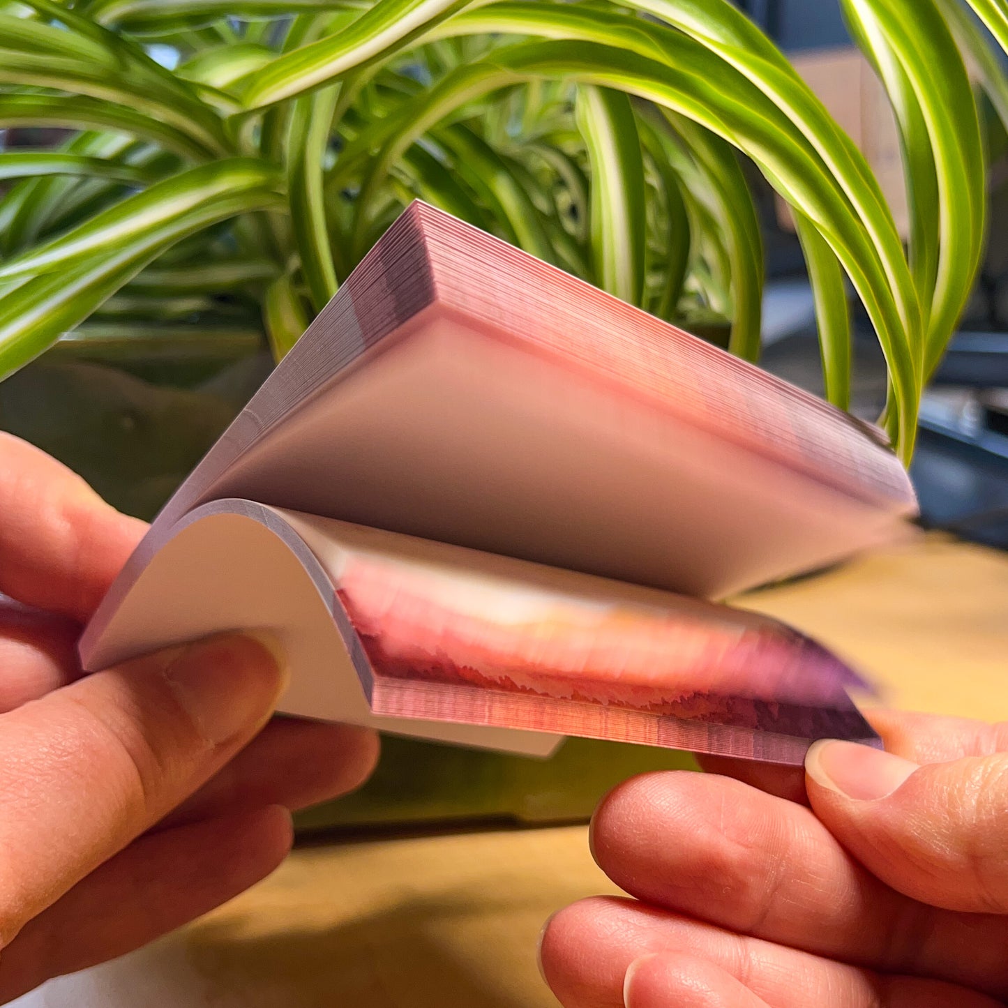 Blue Sky Evergreens Sticky-Notes, 3”x3” Pad with 50 Sheets