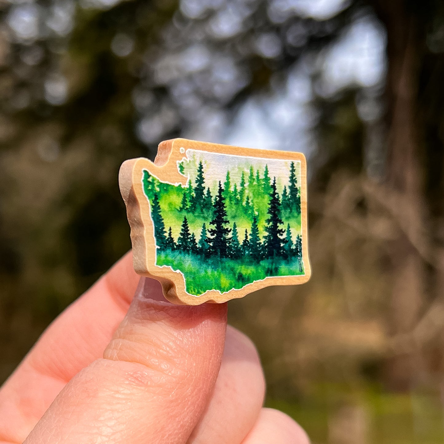 Evergreen State WA, Real Pine Wood 1.5” Pin with Rubber Clutch, Wearable Watercolor Art