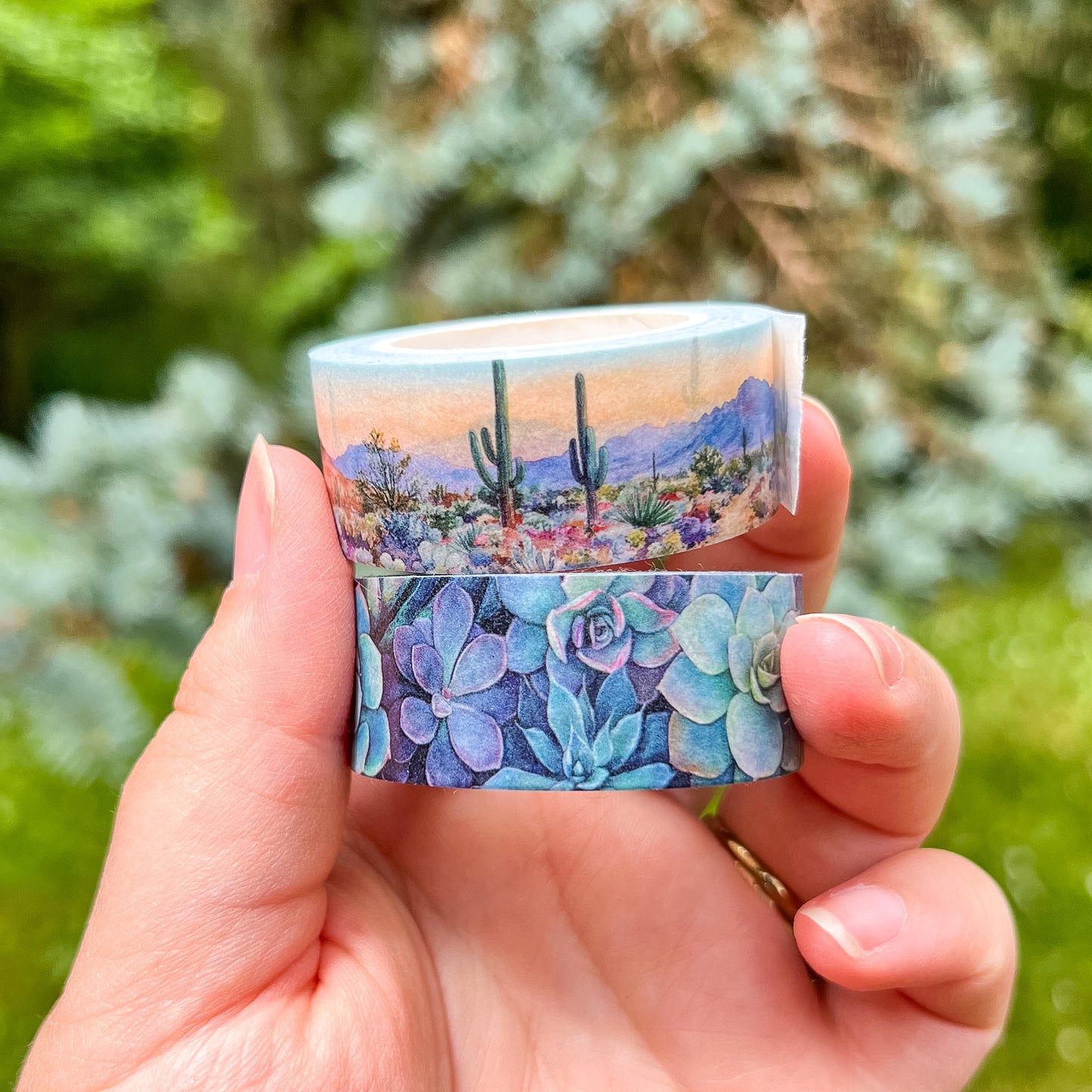Desert Bloom & Succulents Set, Premium Washi Tape, Roll Size 2cm Wide by 10m Long