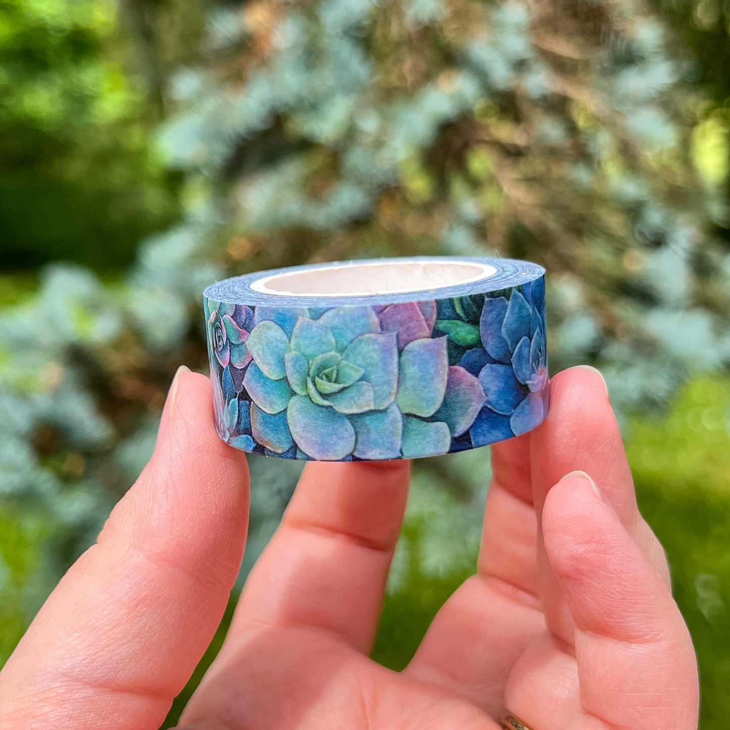 Desert Bloom & Succulents Set, Premium Washi Tape, Roll Size 2cm Wide by 10m Long