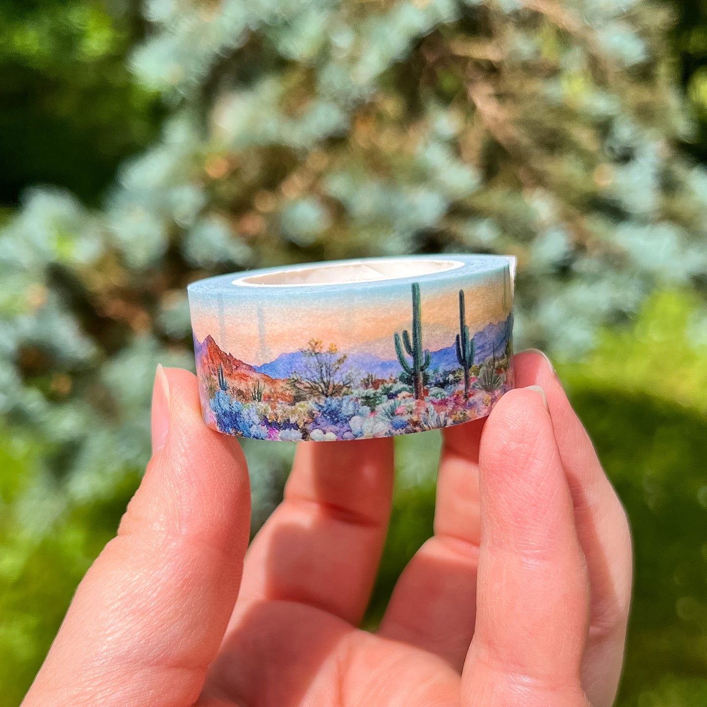 Desert Bloom & Succulents Set, Premium Washi Tape, Roll Size 2cm Wide by 10m Long