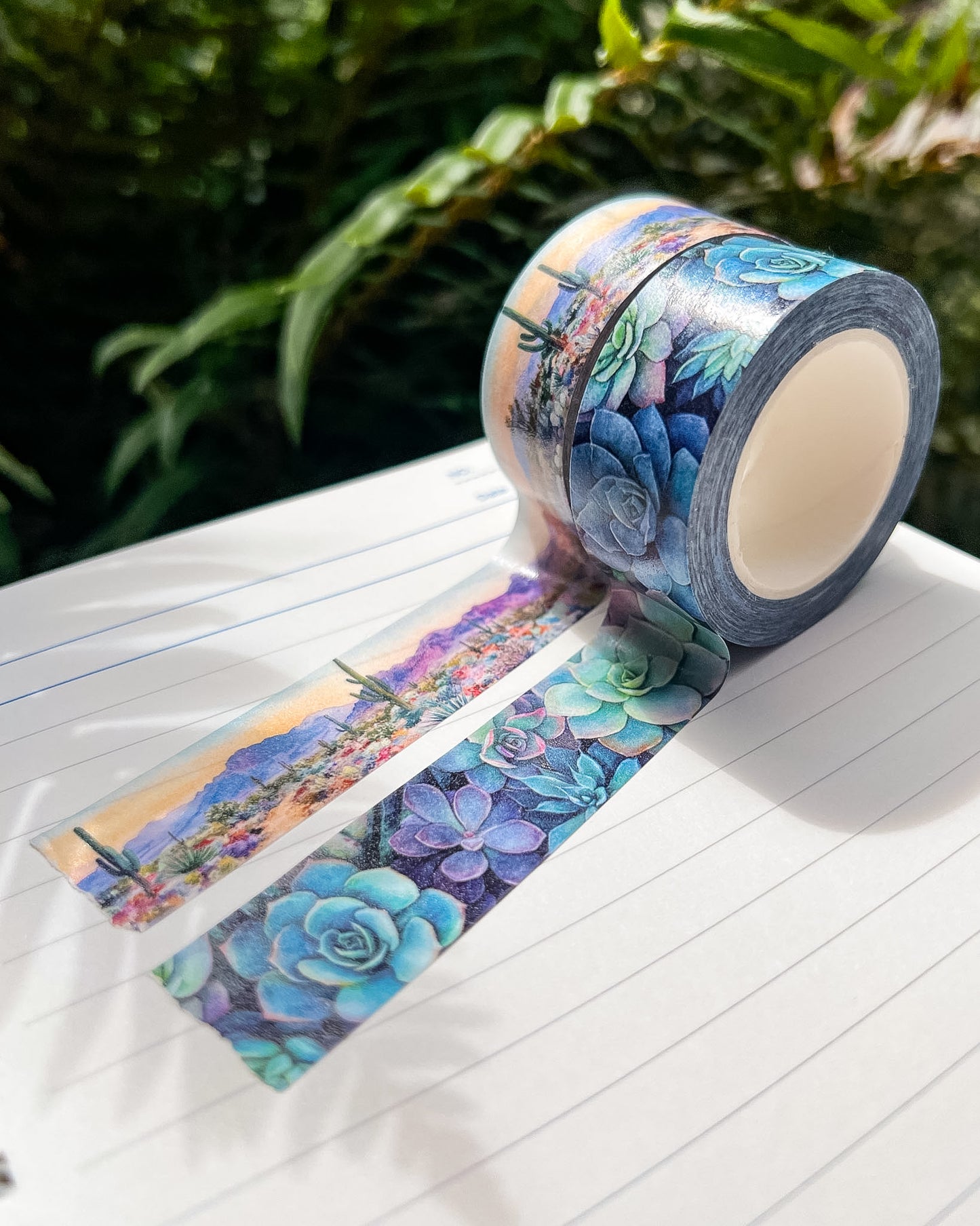 Desert Bloom & Succulents Set, Premium Washi Tape, Roll Size 2cm Wide by 10m Long