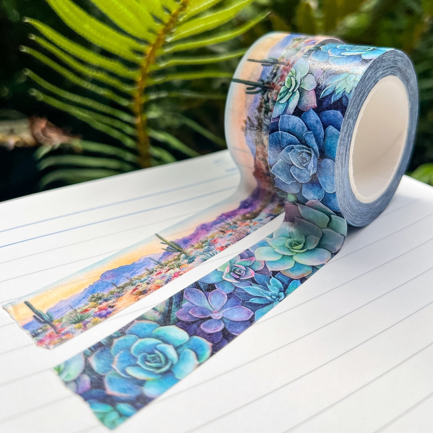 Desert Bloom & Succulents Set, Premium Washi Tape, Roll Size 2cm Wide by 10m Long