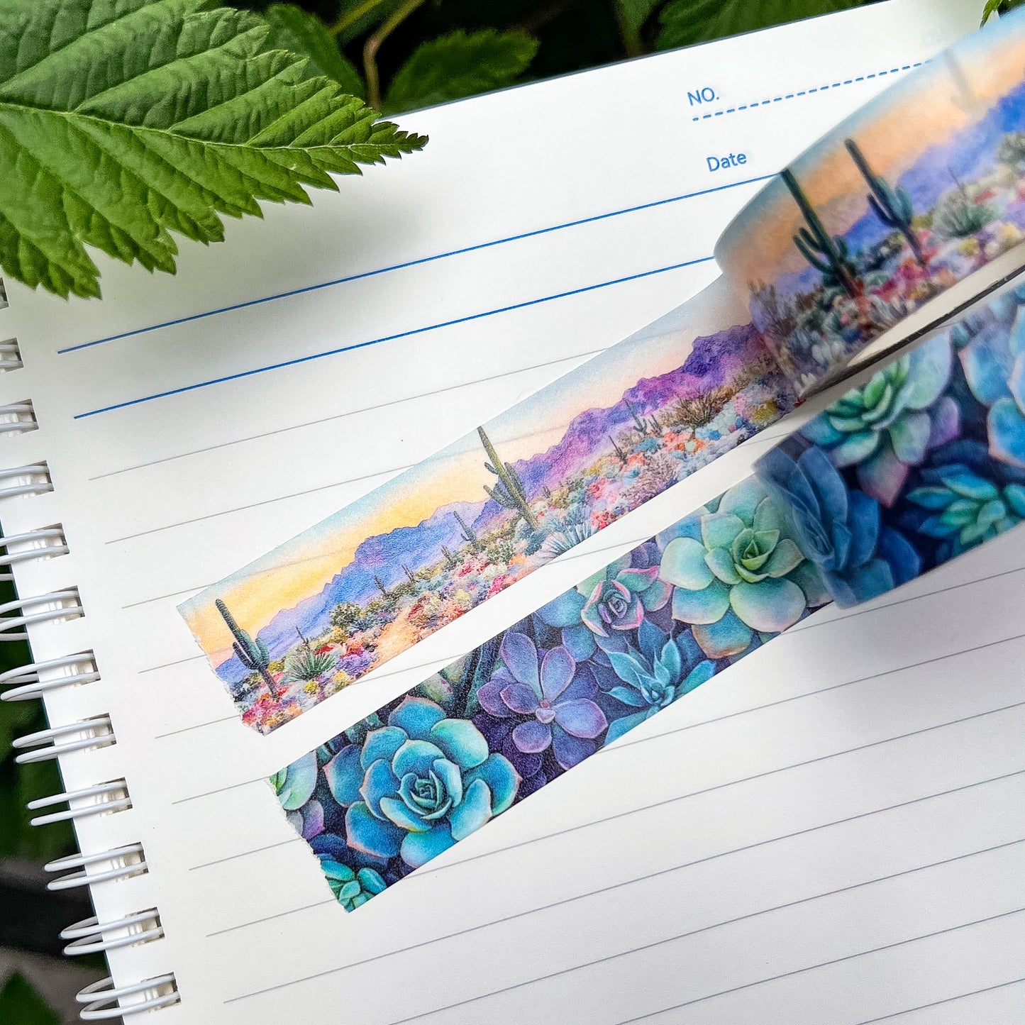 Desert Bloom & Succulents Set, Premium Washi Tape, Roll Size 2cm Wide by 10m Long